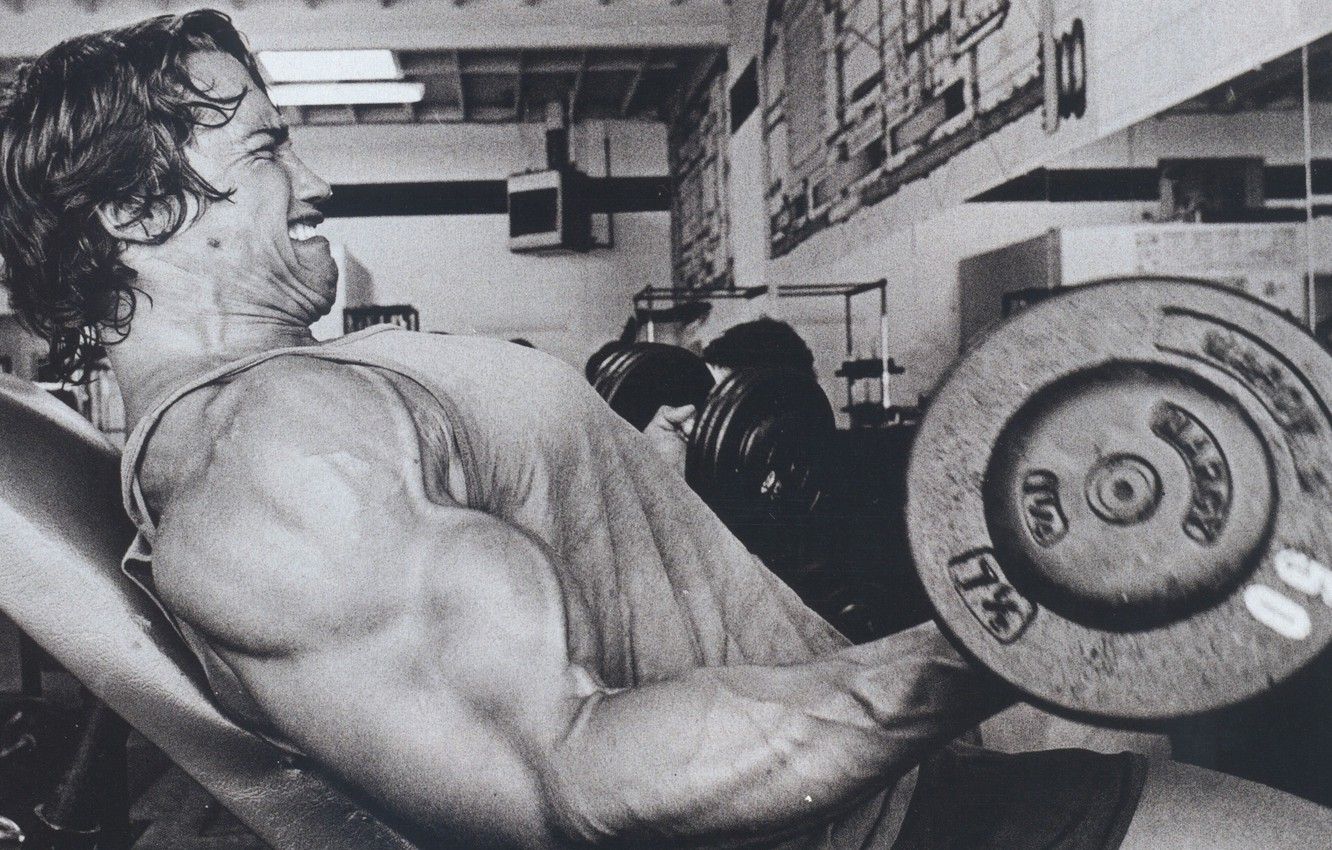 Wallpaper man, actor, Arnold Schwarzenegger, rocking, the gym, dumbbells, Arnold Schwarzenegger image for desktop, section спорт