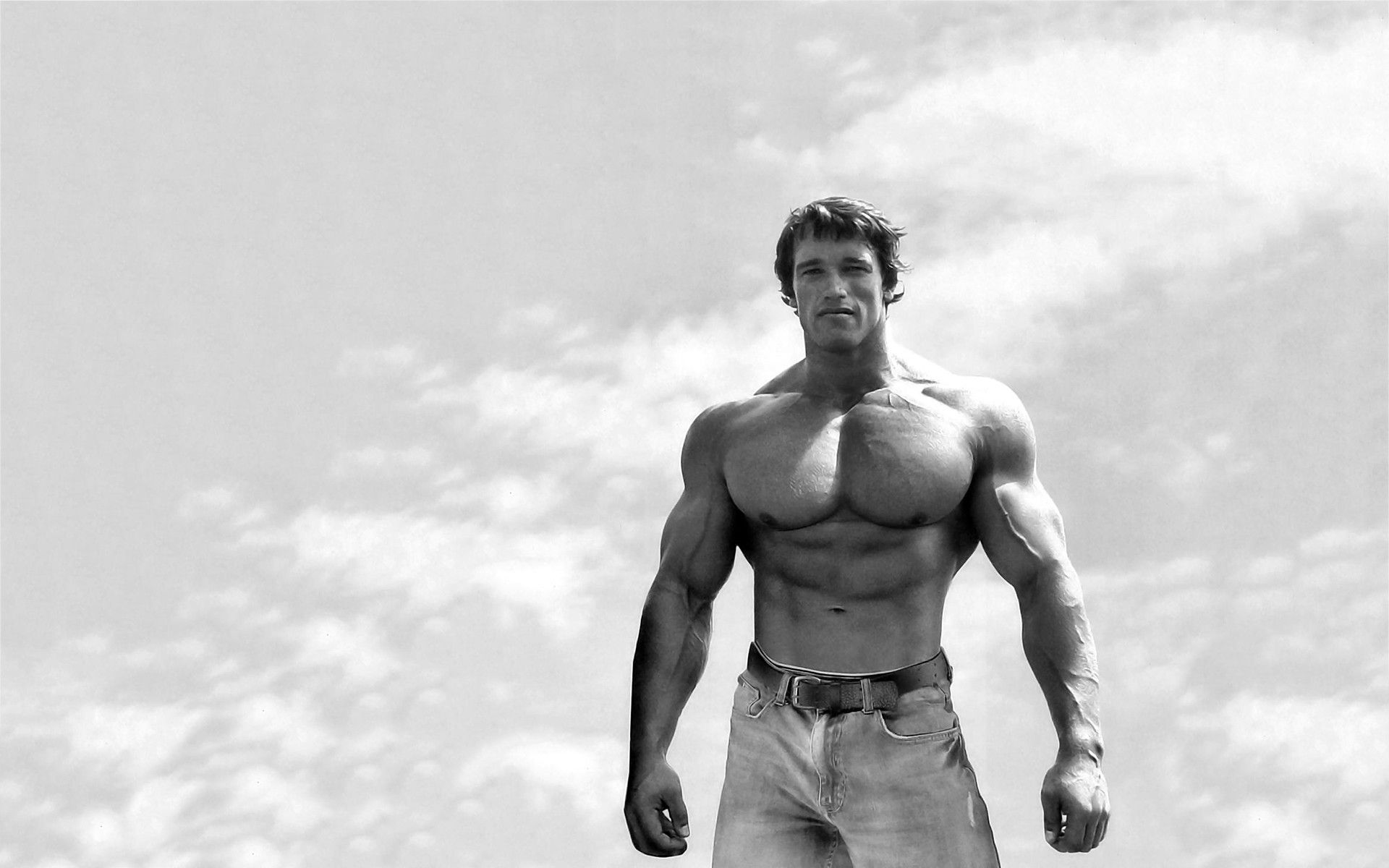 Arnold Schwarzenegger Bodybuilding Wallpaper Posters and Picture HD background picture