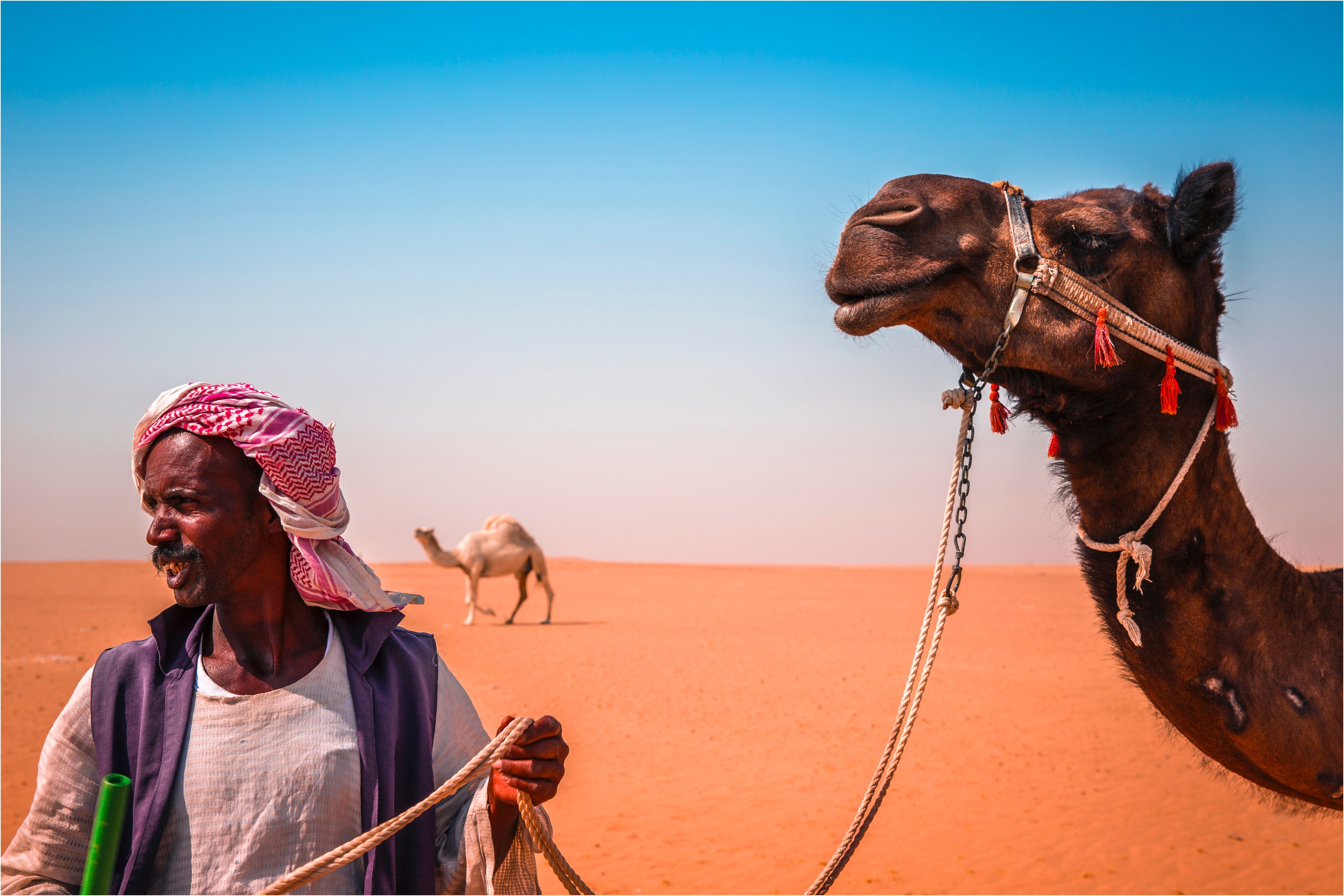 Standing Man Beside Camel on Desert · Free