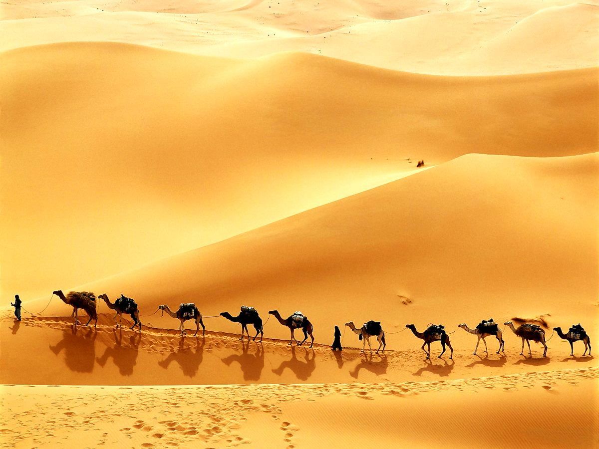 Desert, Sand, Sahara wallpaper. FREE Download background