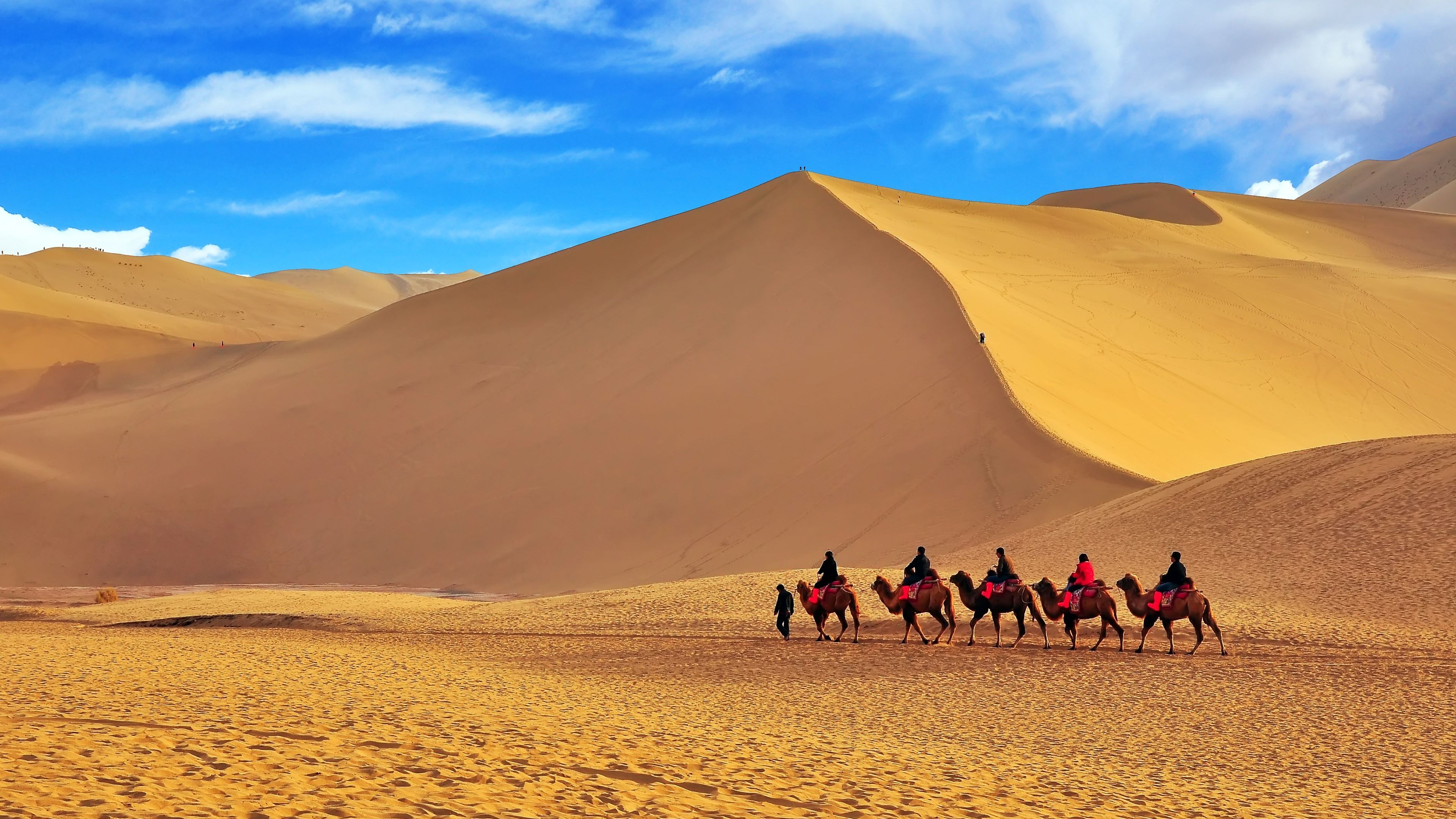 China Desert Camel Team Silk Road