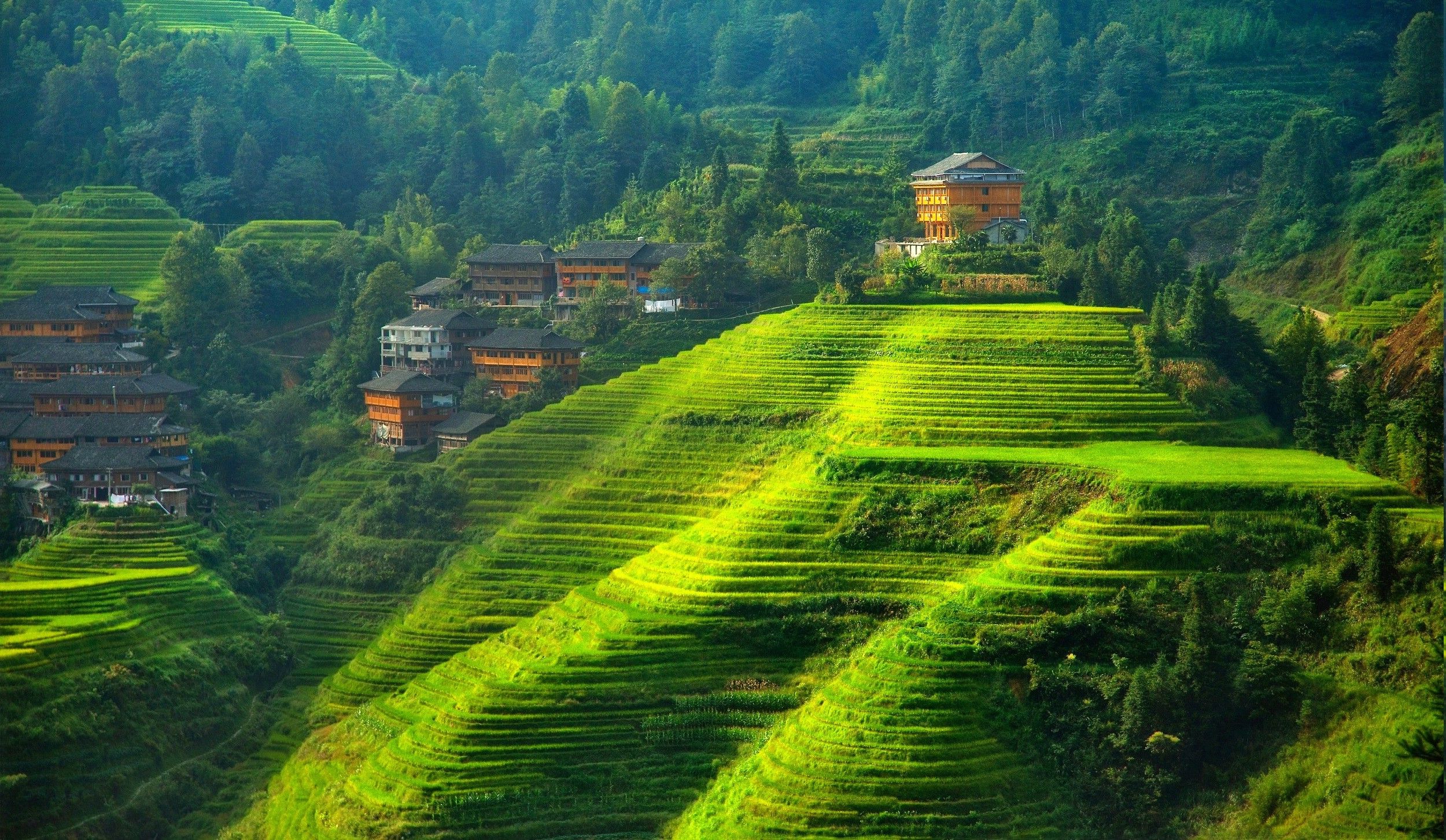terraced Field, Landscape, Hill, China Wallpaper HD / Desktop and Mobile Background