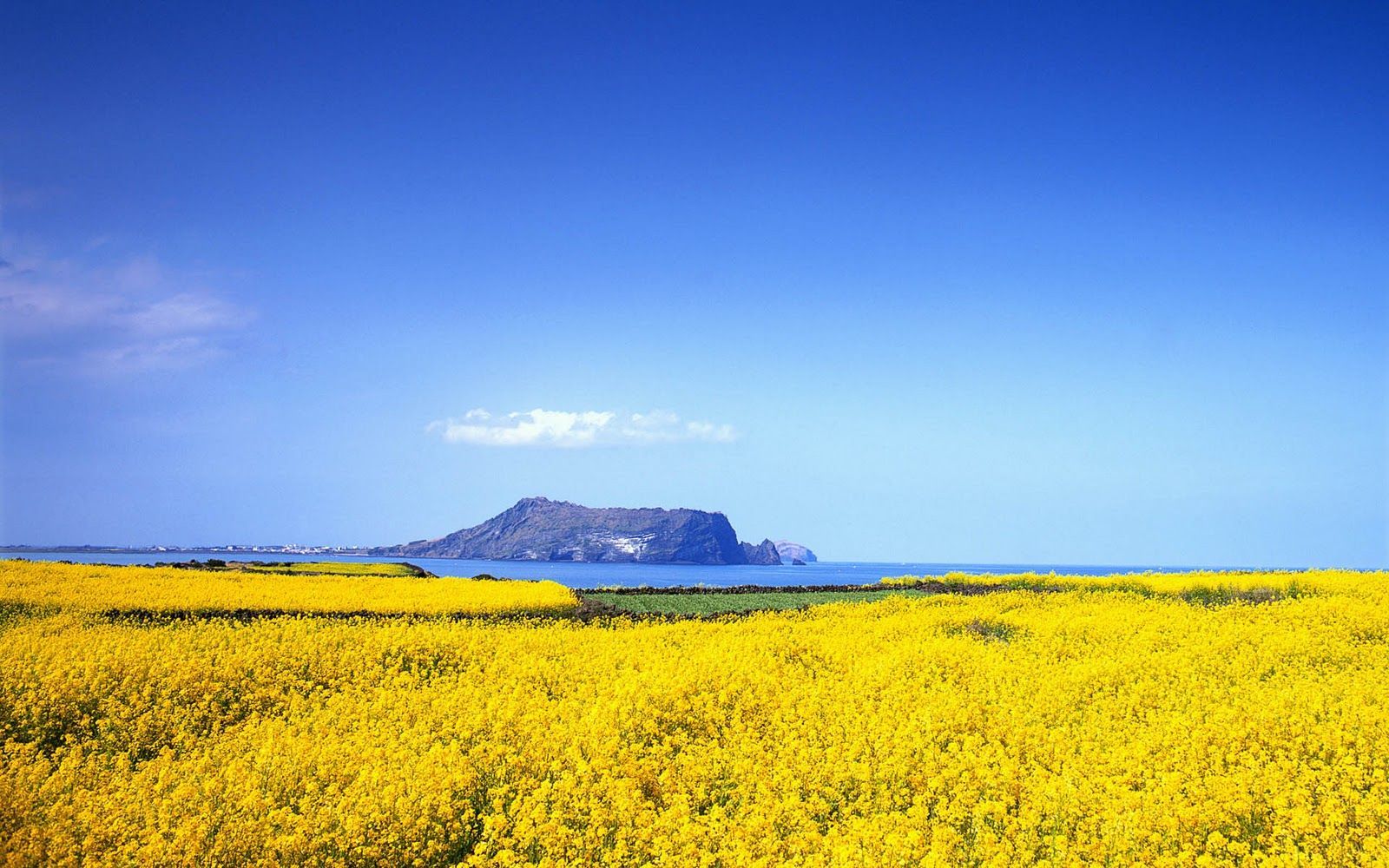 Wallpaper Collection.com. Jeju island, Nature wallpaper, South korea travel