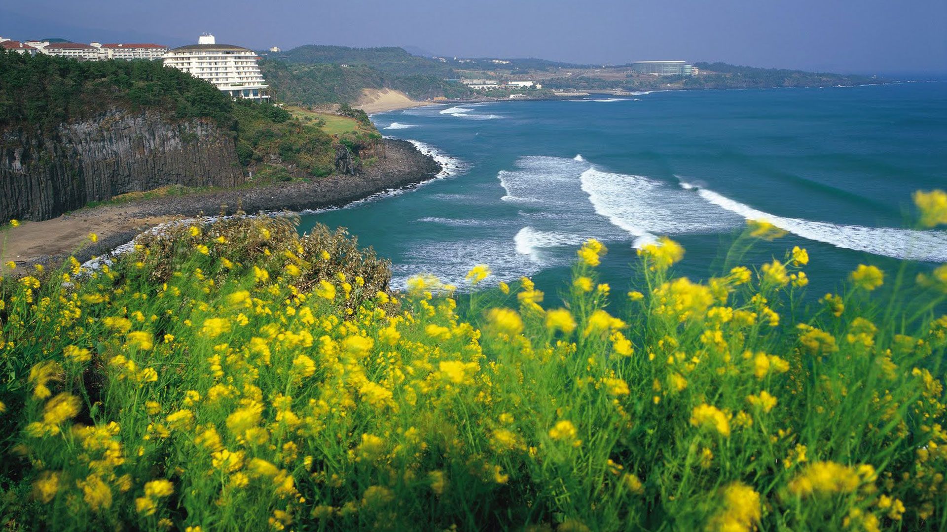 Activities to get the True Essence of Jeju Islands