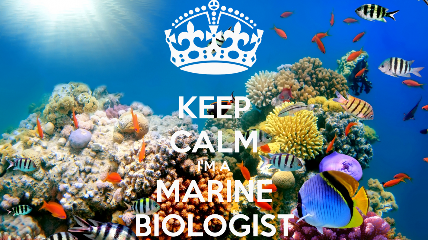 Free download GALLERY Marine Biology Wallpaper [1500x1000] for your Desktop, Mobile & Tablet. Explore Marine Biology Wallpaper. Science Wallpaper for Desktop, Medical Wallpaper, Biology Wallpaper Background