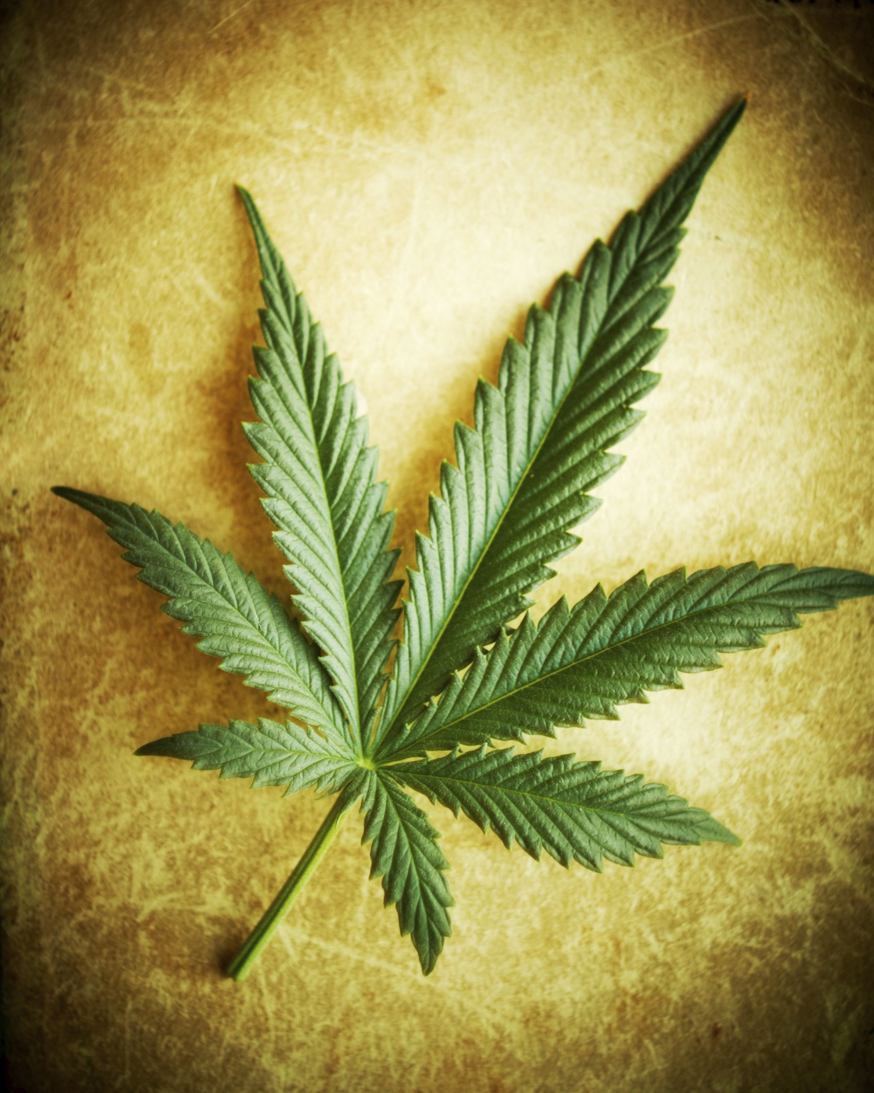 Free Weed Leaf, Download Free Weed Leaf png image, Free ClipArts on Clipart Library