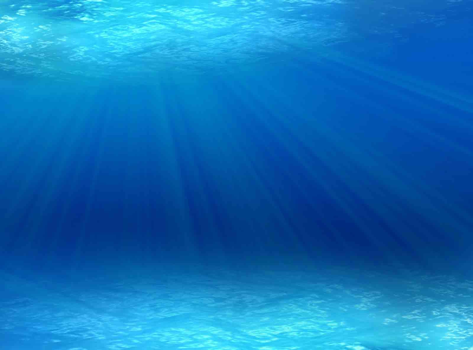 Under the Sea PowerPoint Background. Under the sea background, Ocean image, Under the sea image