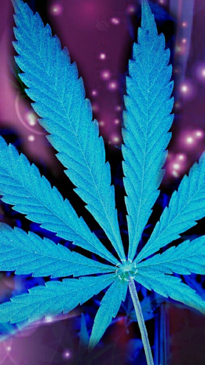 Ganja Leaf Wallpapers Wallpaper Cave