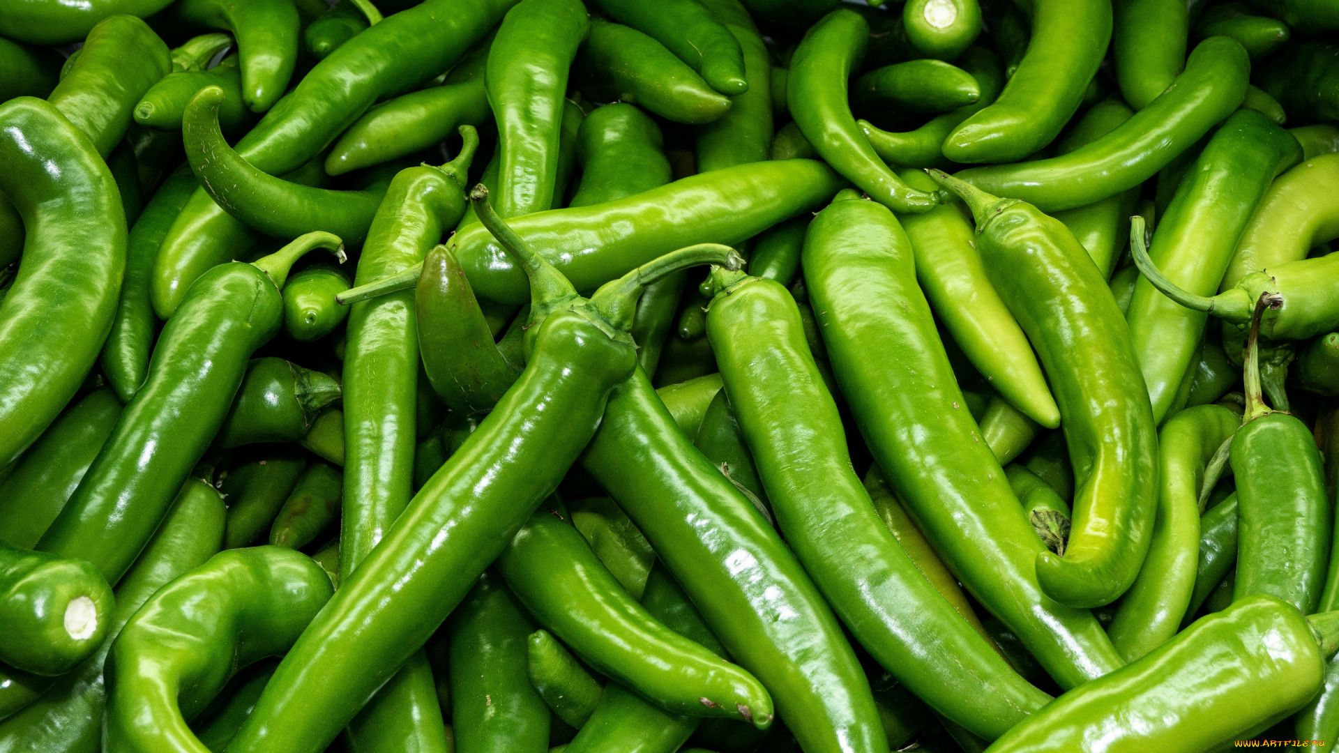 Green Chilli Wallpapers - Wallpaper Cave