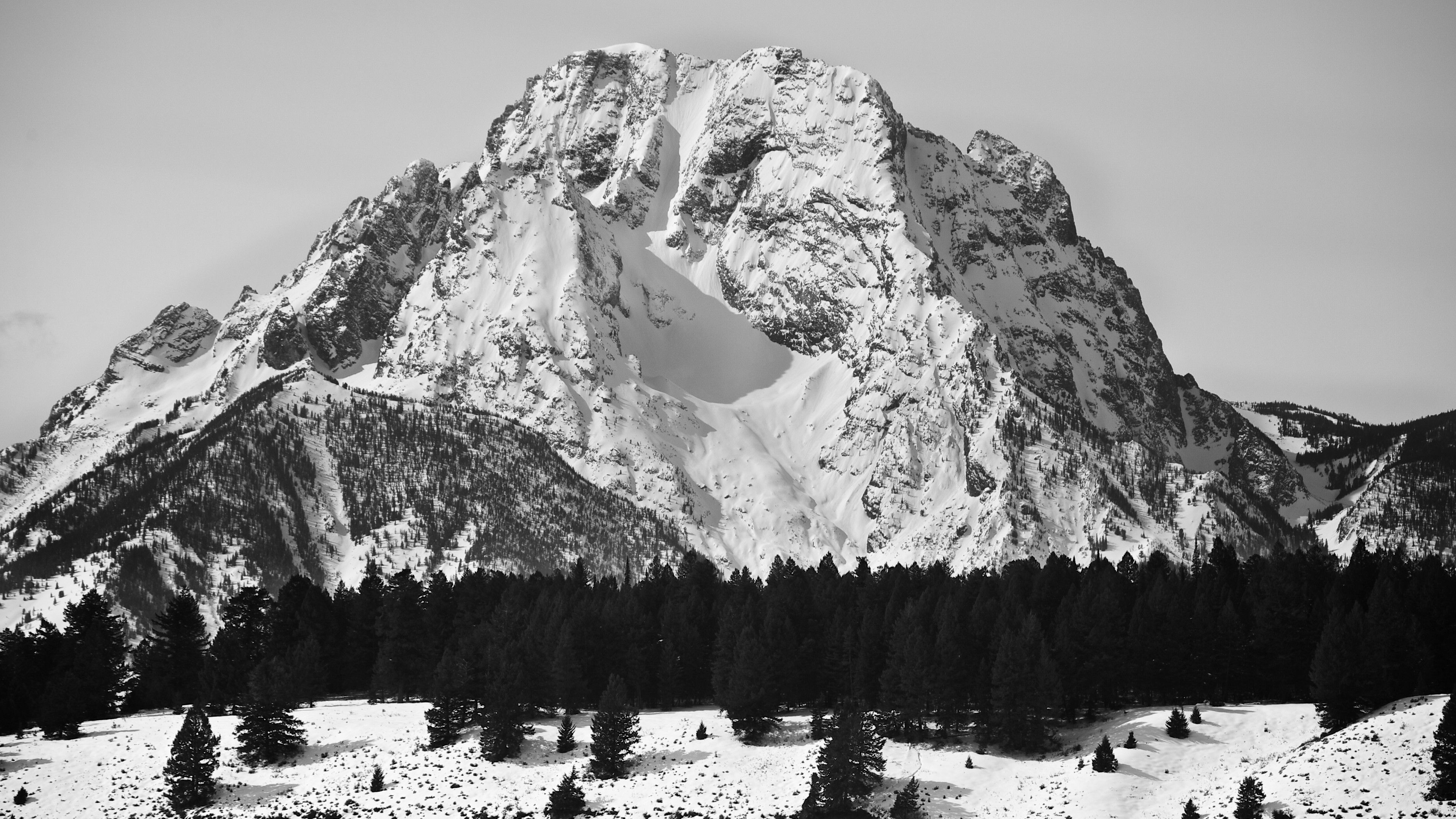 Wallpaper Mount Moran, 5k, 4k wallpaper, USA, Mountains, pines, snow, OS