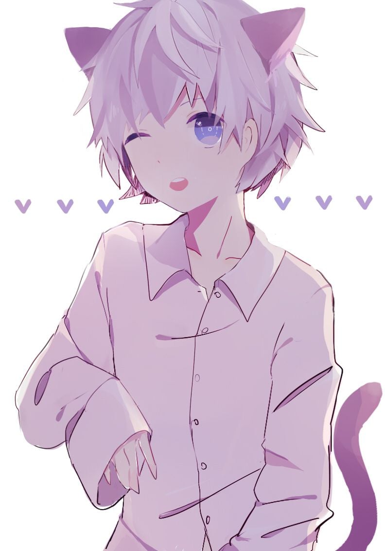 cat boy anime drawing