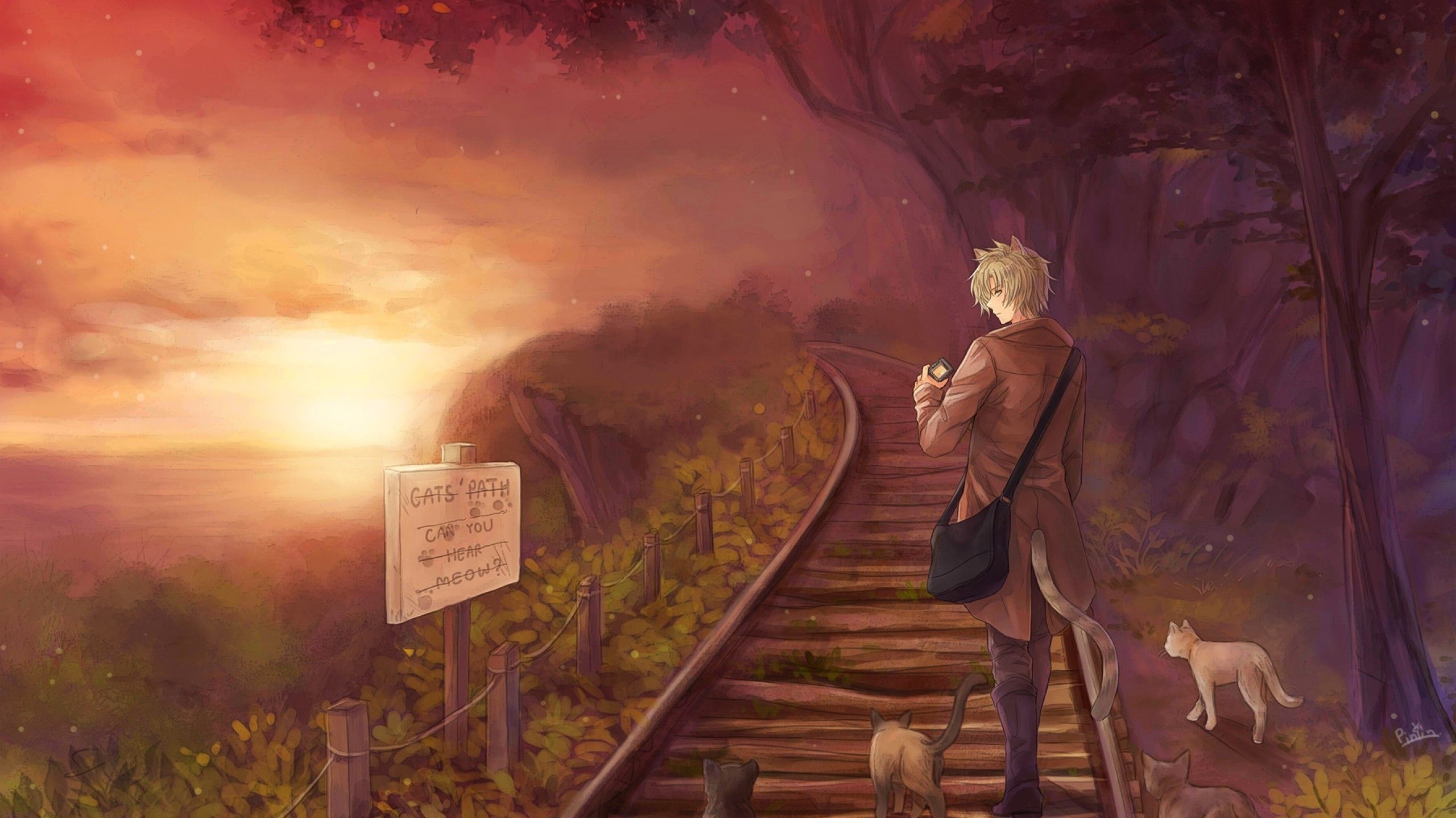 Download 2560x1440 Anime Boy, Cats, Sunset, Scenic, Animal Ears, Cat Boy Wallpaper for iMac 27 inch