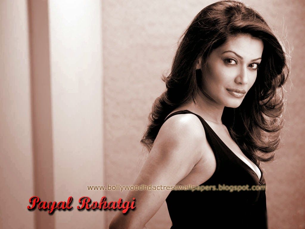 Bollywood hollywood HD actress wallpaper: Payal Rohatgi HD wallpaper