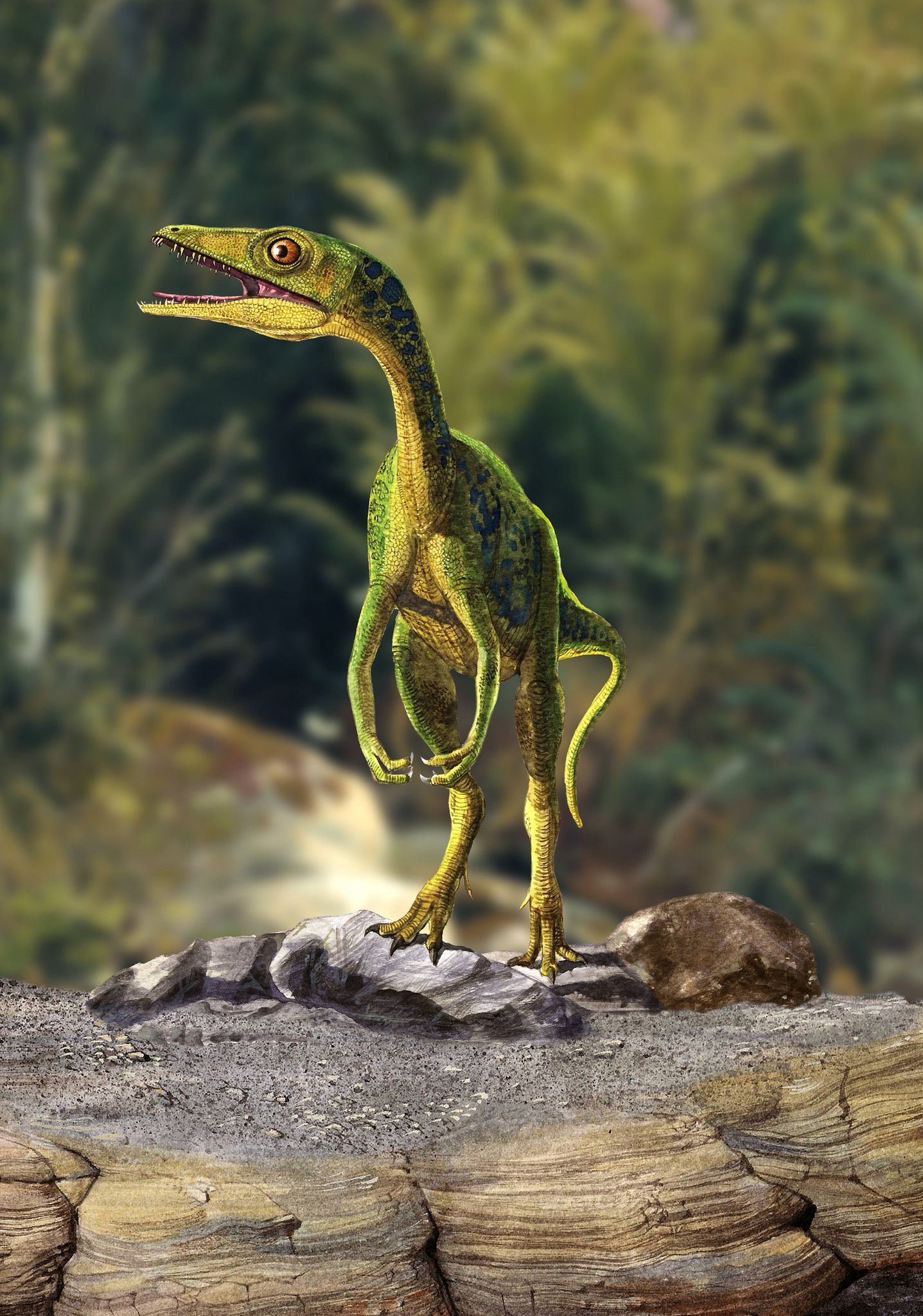 Compsognathus. Prehistoric animals, Prehistoric creatures, Ancient animals