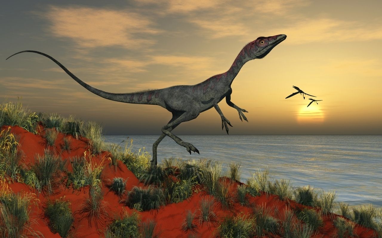 A carnivorous Compsognathus dinosaur from the Jurassic Period Poster Print # VARPSTMAS100611P