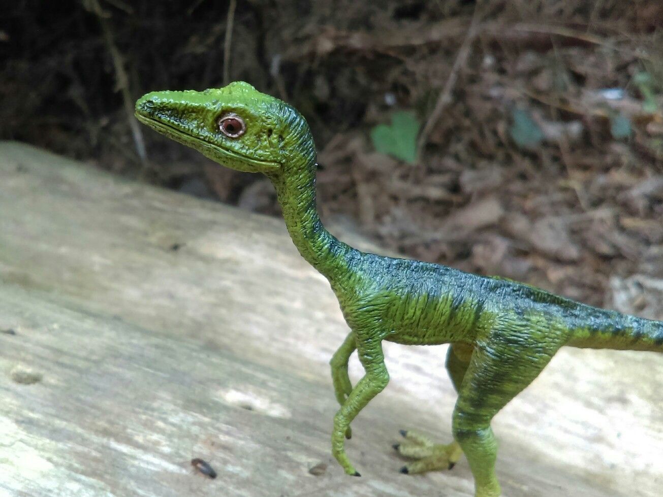 Rebor compsognathus. Dinosaur art, Prehistoric creatures, Dinosaur fossils