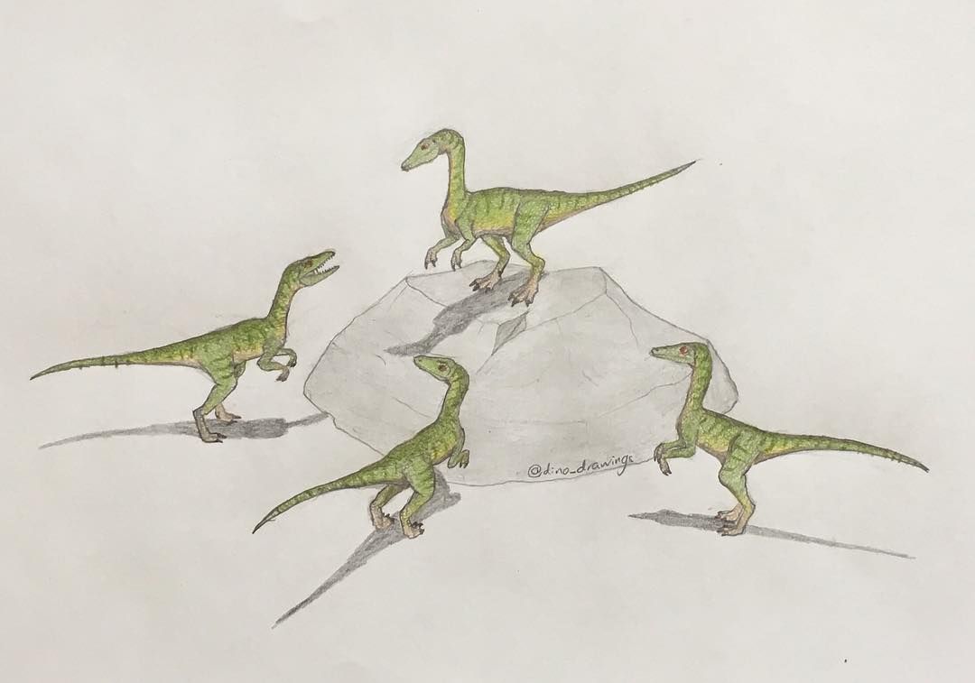 A small pack of compsognathus planning on how to get a big role in Jurassic World 3