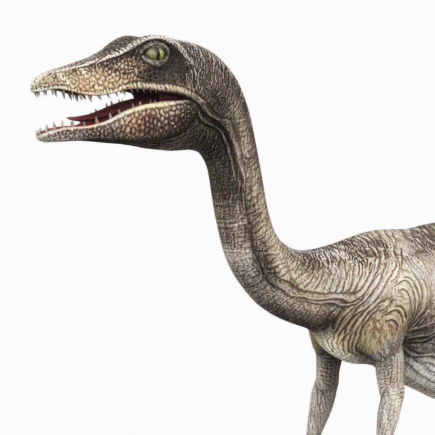 Compsognathus Dinosaur 3D Model