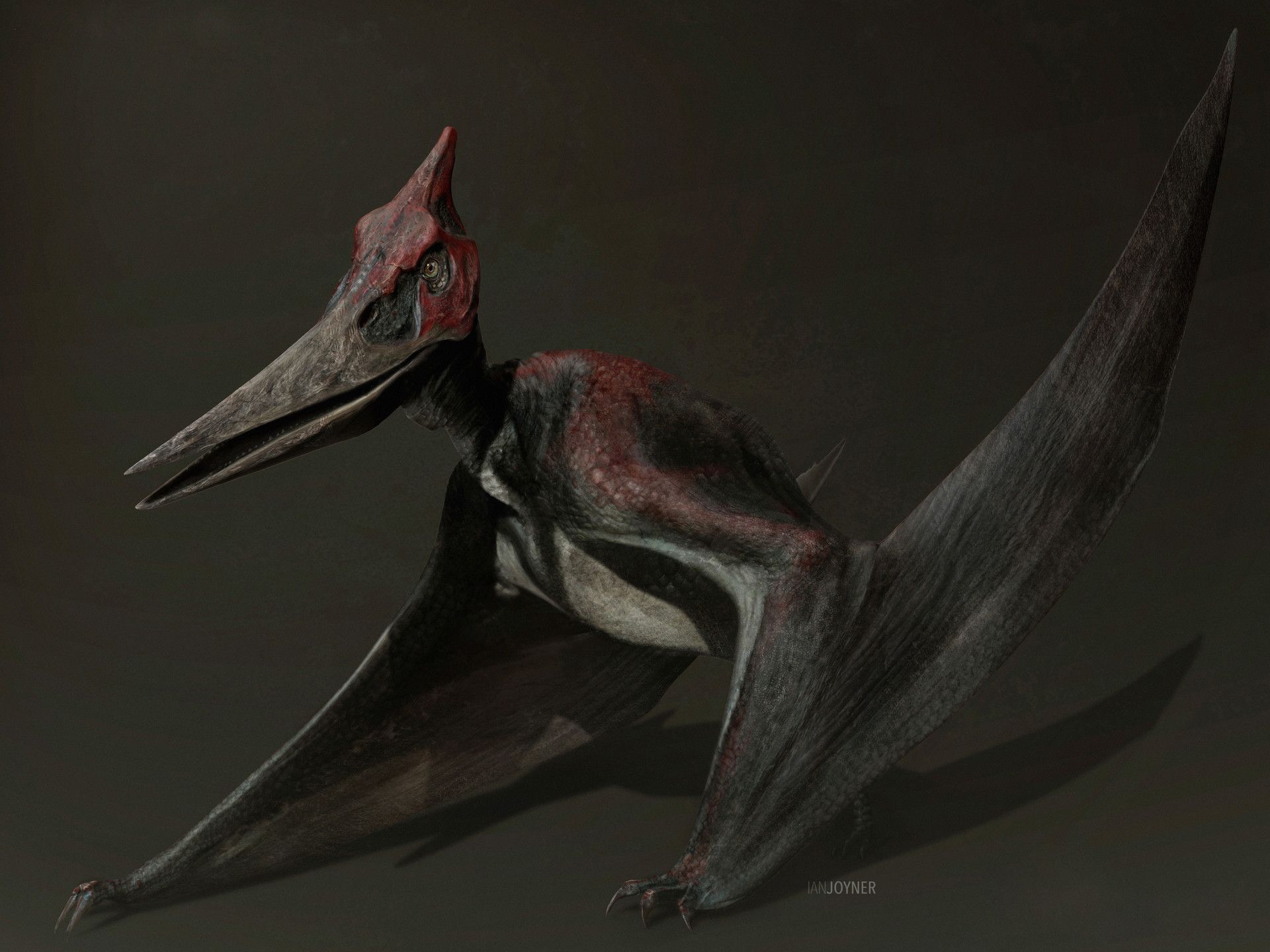 Jurassic World, Ian Joyner. Jurassic world, Jurassic park world, Prehistoric animals