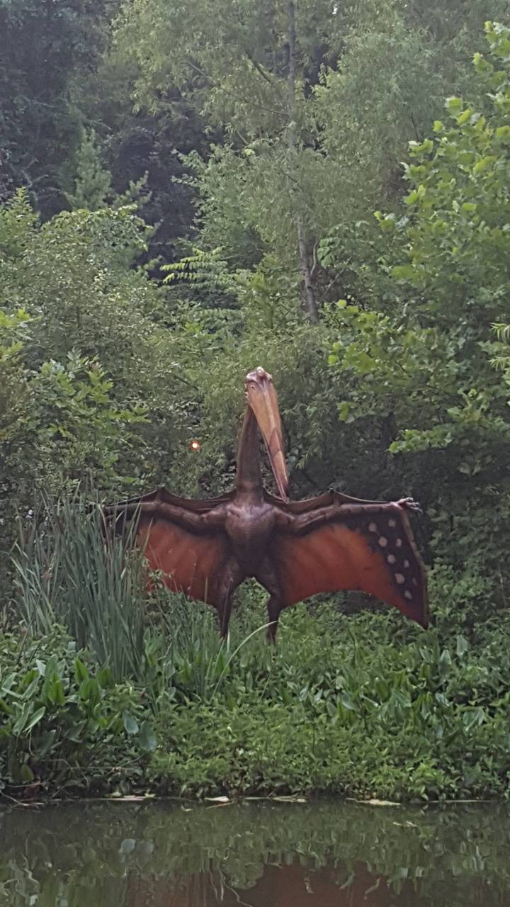 Pteranodon wallpaper