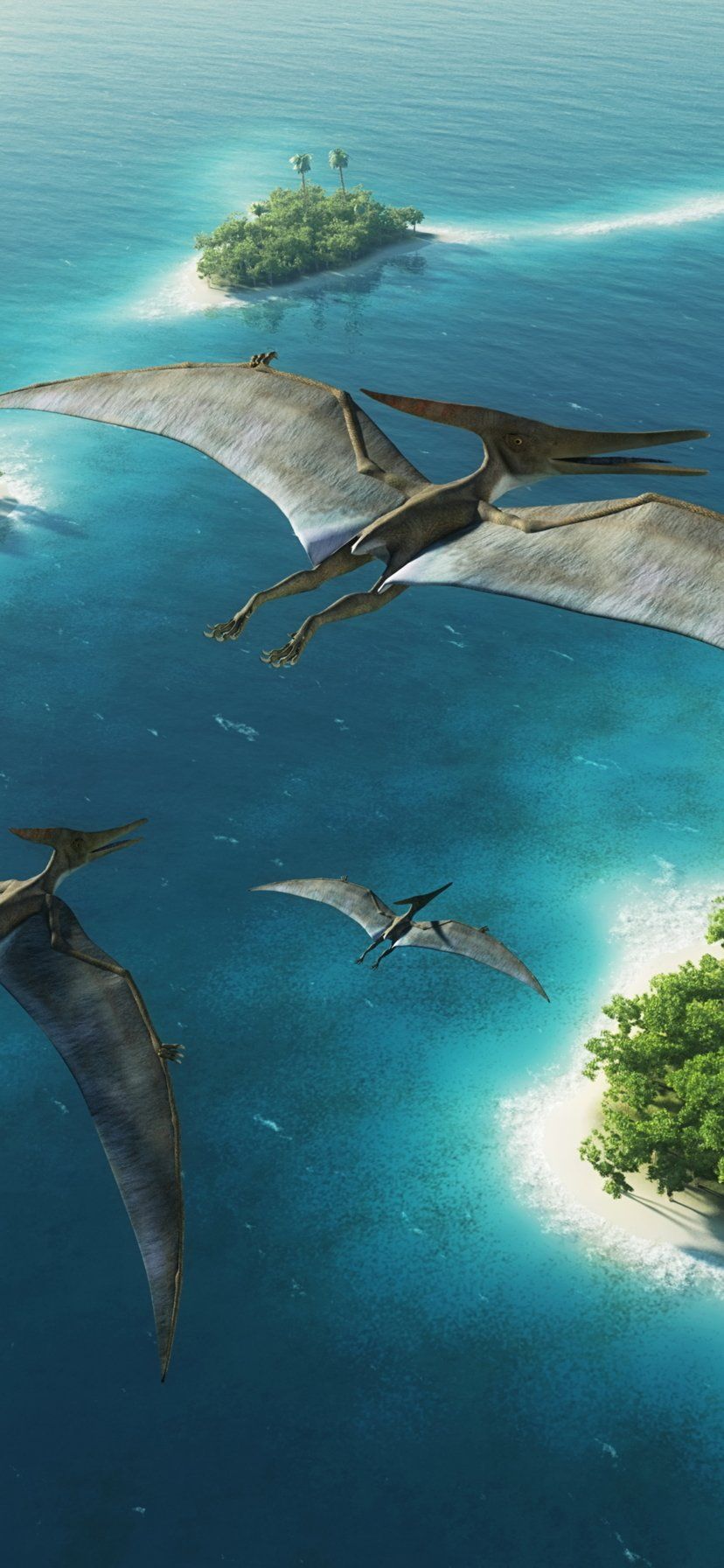 Animal Dinosaur (828x1792) Wallpaper