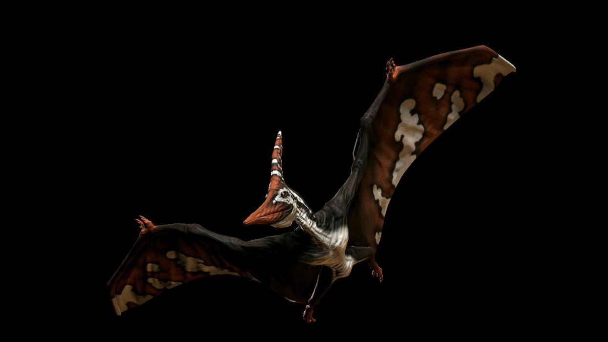 PRIMAL CARNAGE fantasy dinosaur u wallpaperx1080