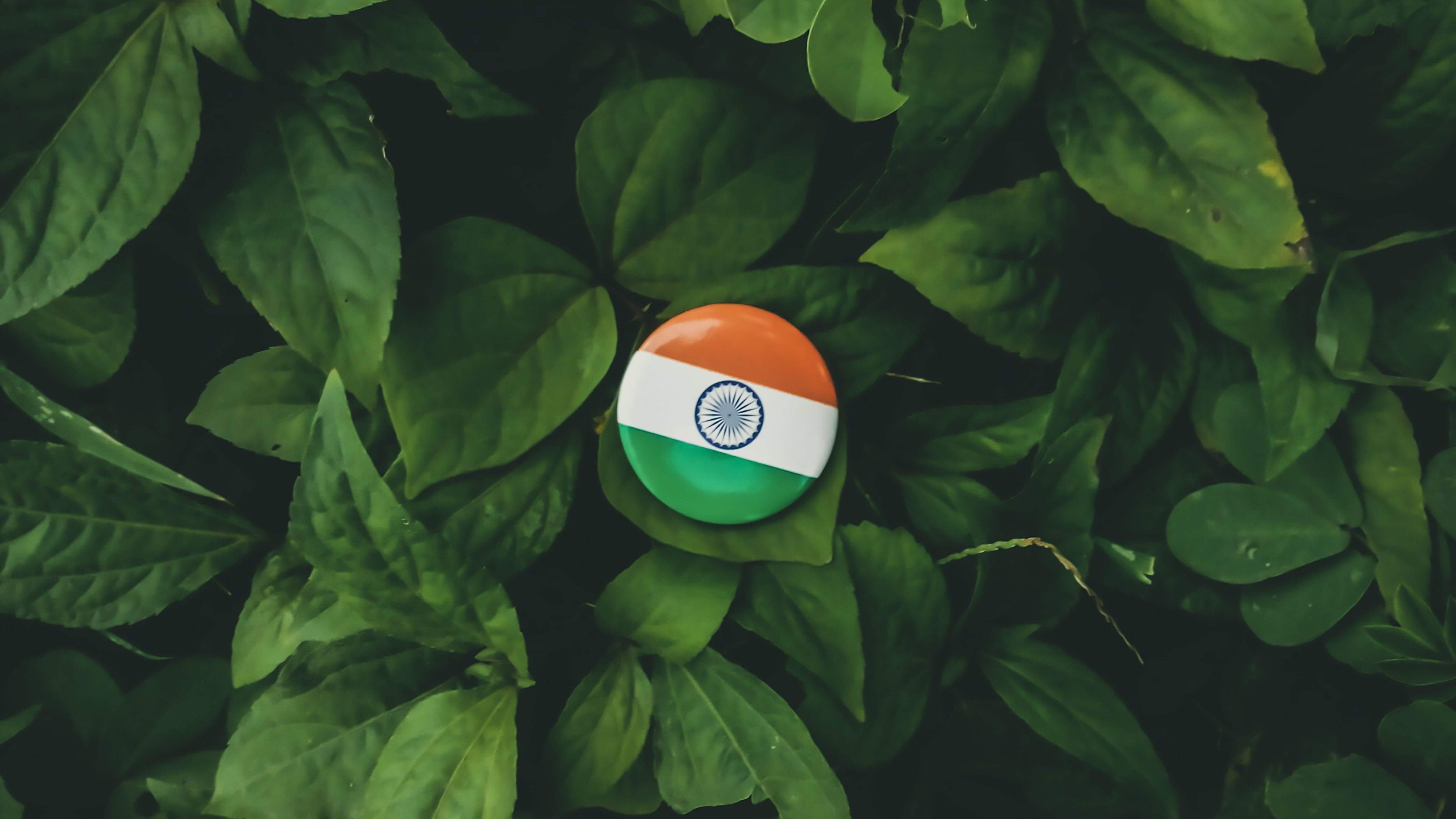 India Flag 4k Wallpaprr For Mobile
