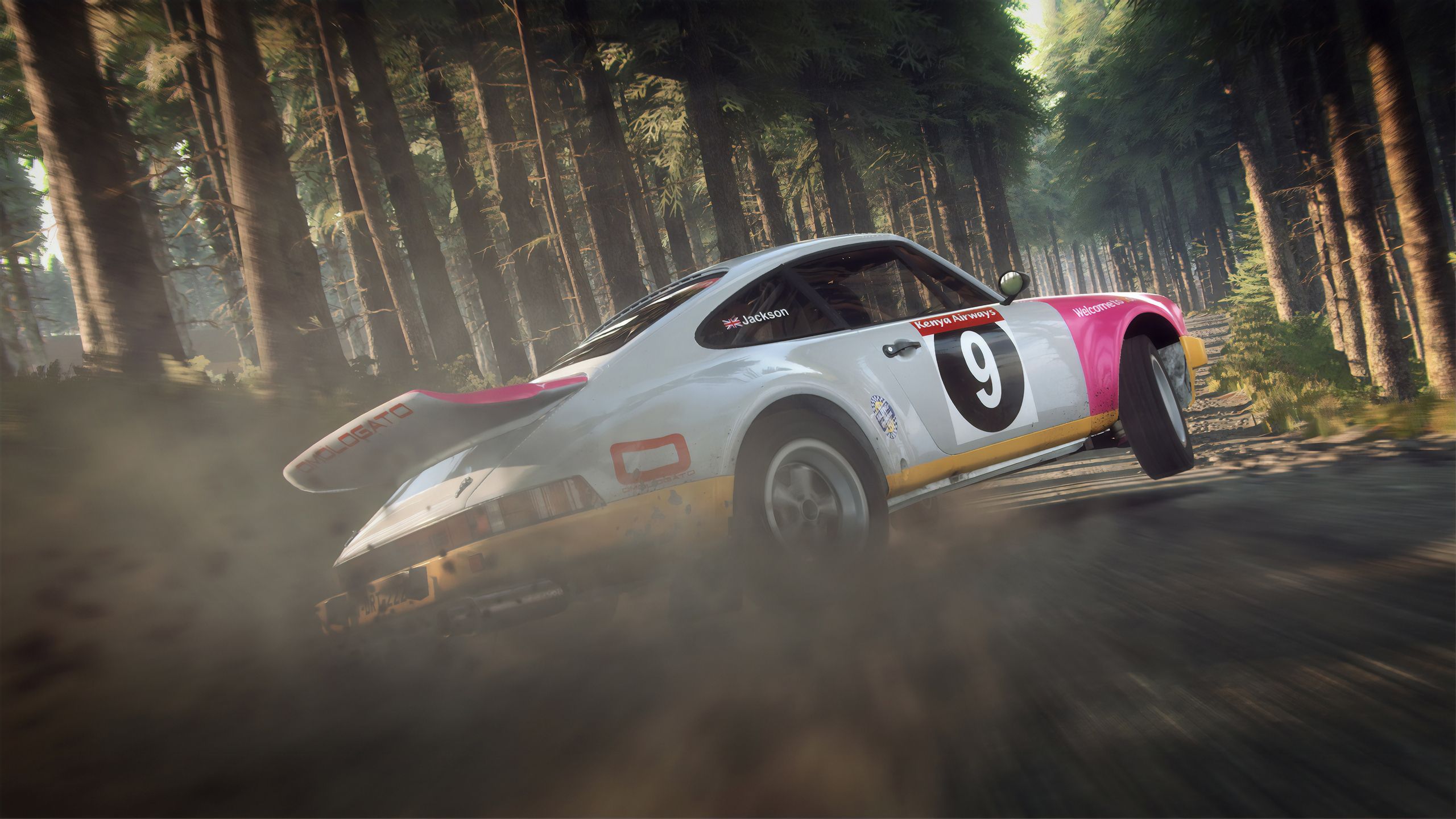 Dirt Rally 2 1440P Resolution HD 4k Wallpaper, Image, Background, Photo and Picture