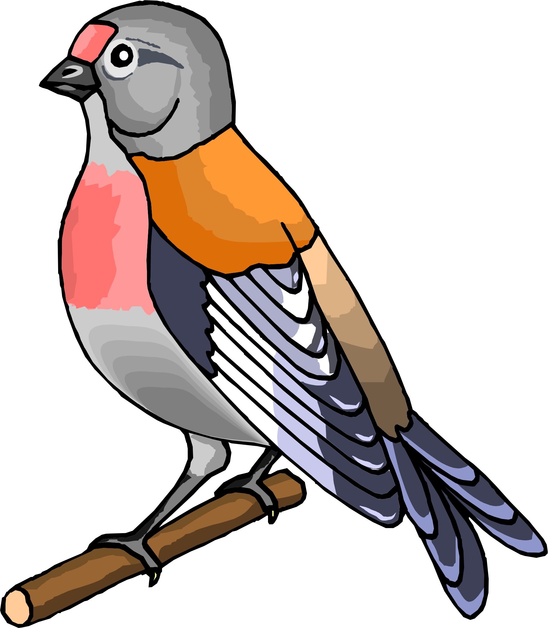 Free Pics Of Cartoon Birds, Download Free Pics Of Cartoon Birds png image, Free ClipArts on Clipart Library