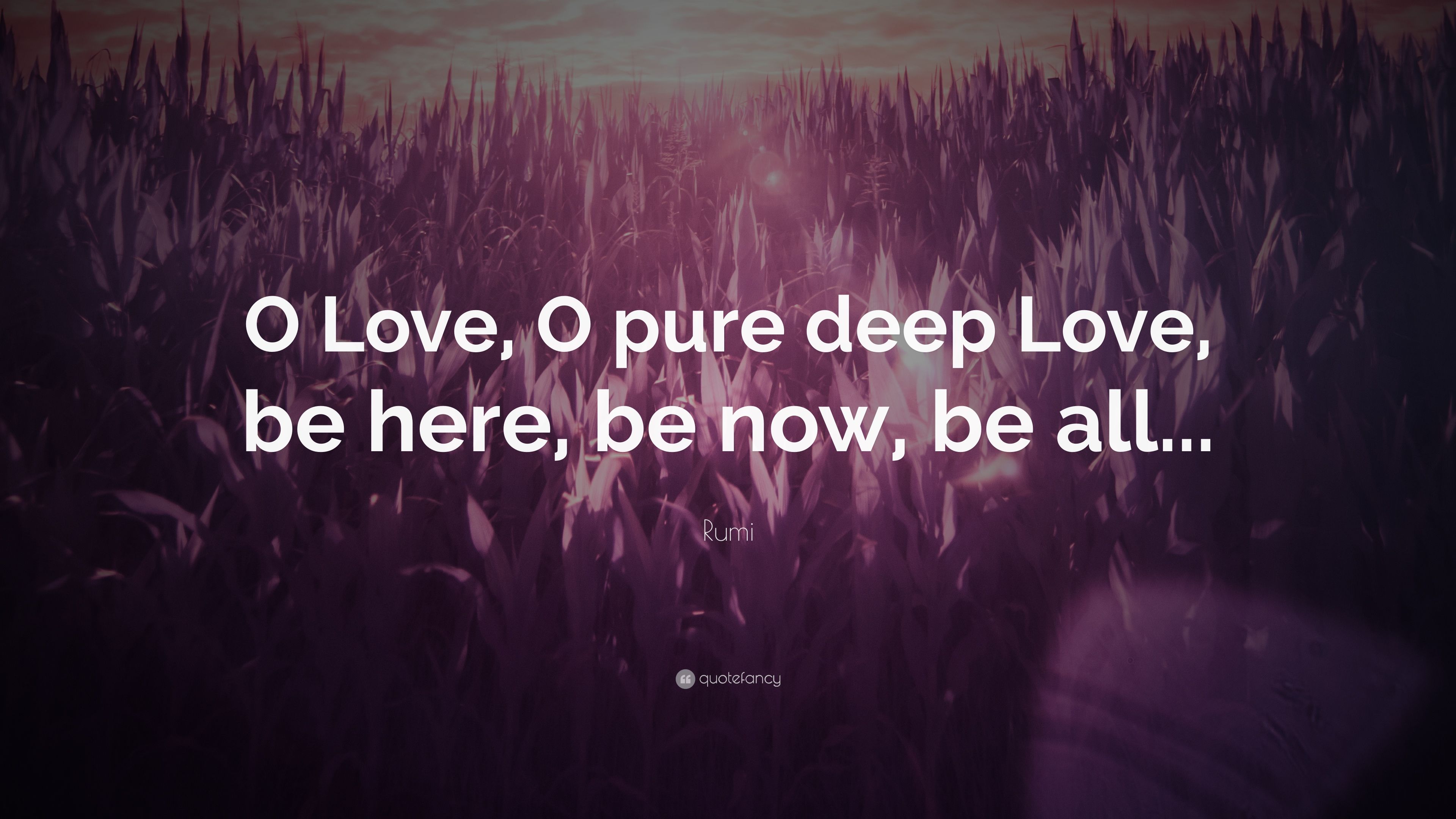 Rumi Quote: “O Love, O pure deep Love, be here, be now, be all.”