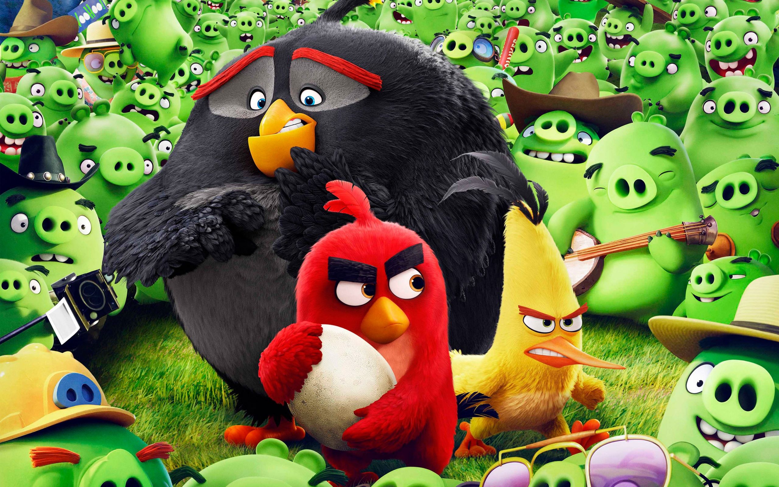 Angry Birds Animation Movie Wallpaper in jpg format for free download
