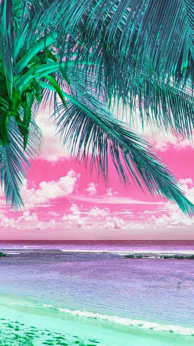 Summer Aesthetic Pink Wallpapers  Summer Wallpaper for iPhone