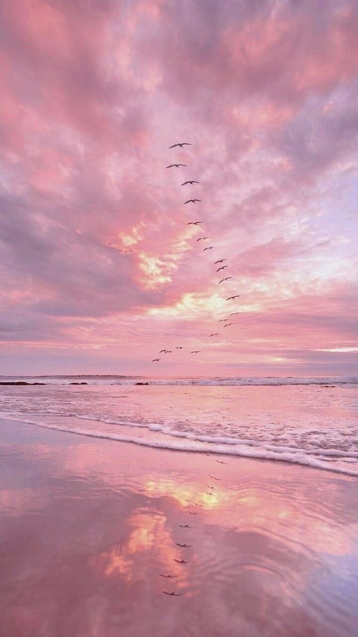 Shared by Darina Al Bajjeh. Find image and videos about pink, summer and aesthetic. Aesthetic background, Pretty wallpaper, Sky aesthetic