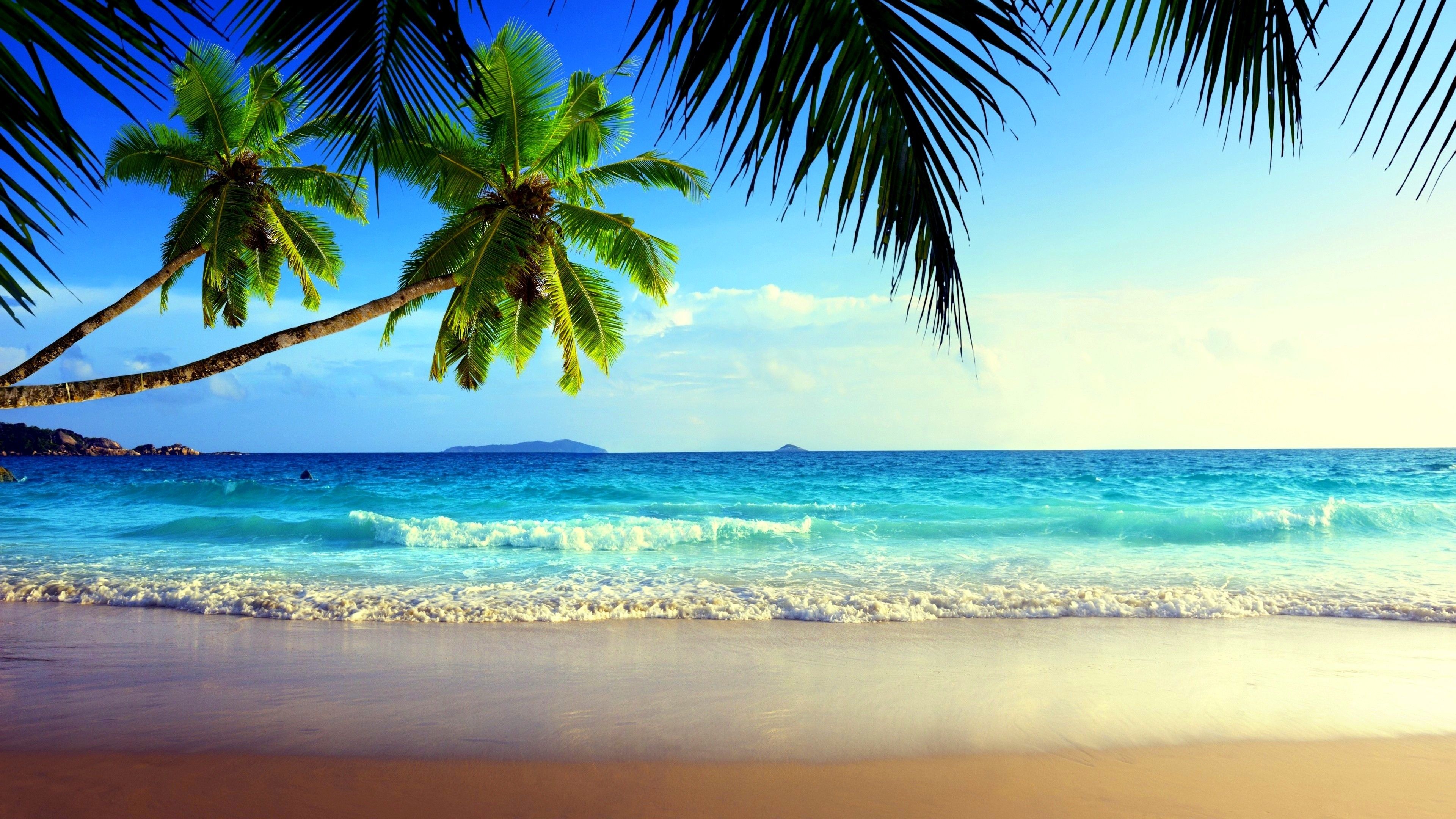 Summer beach, iPhone, Desktop HD Background / Wallpaper (1080p, 4k) (3840x2160) (2021)