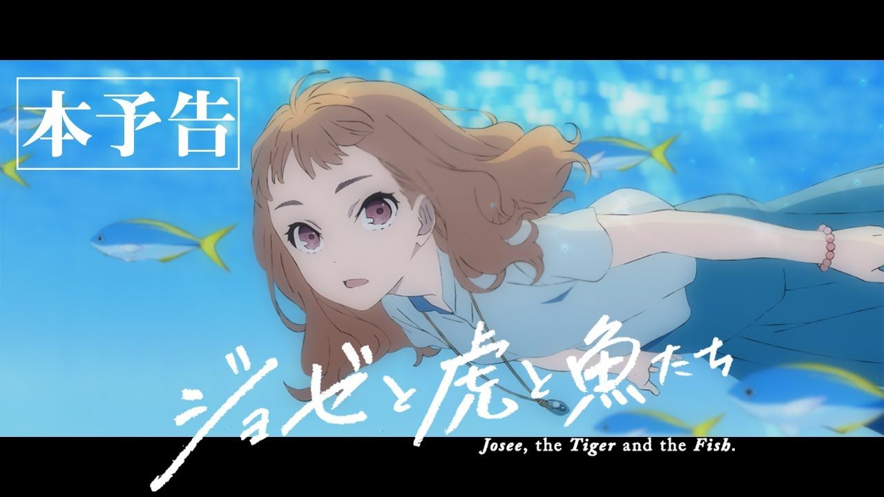 Crunchyroll, the Tiger and the Fish. Anime Film Full Introduces Insert Song Shinkai