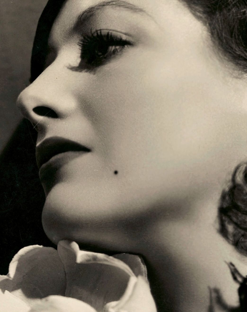 Picture of Joan Crawford, Picture Of Celebrities