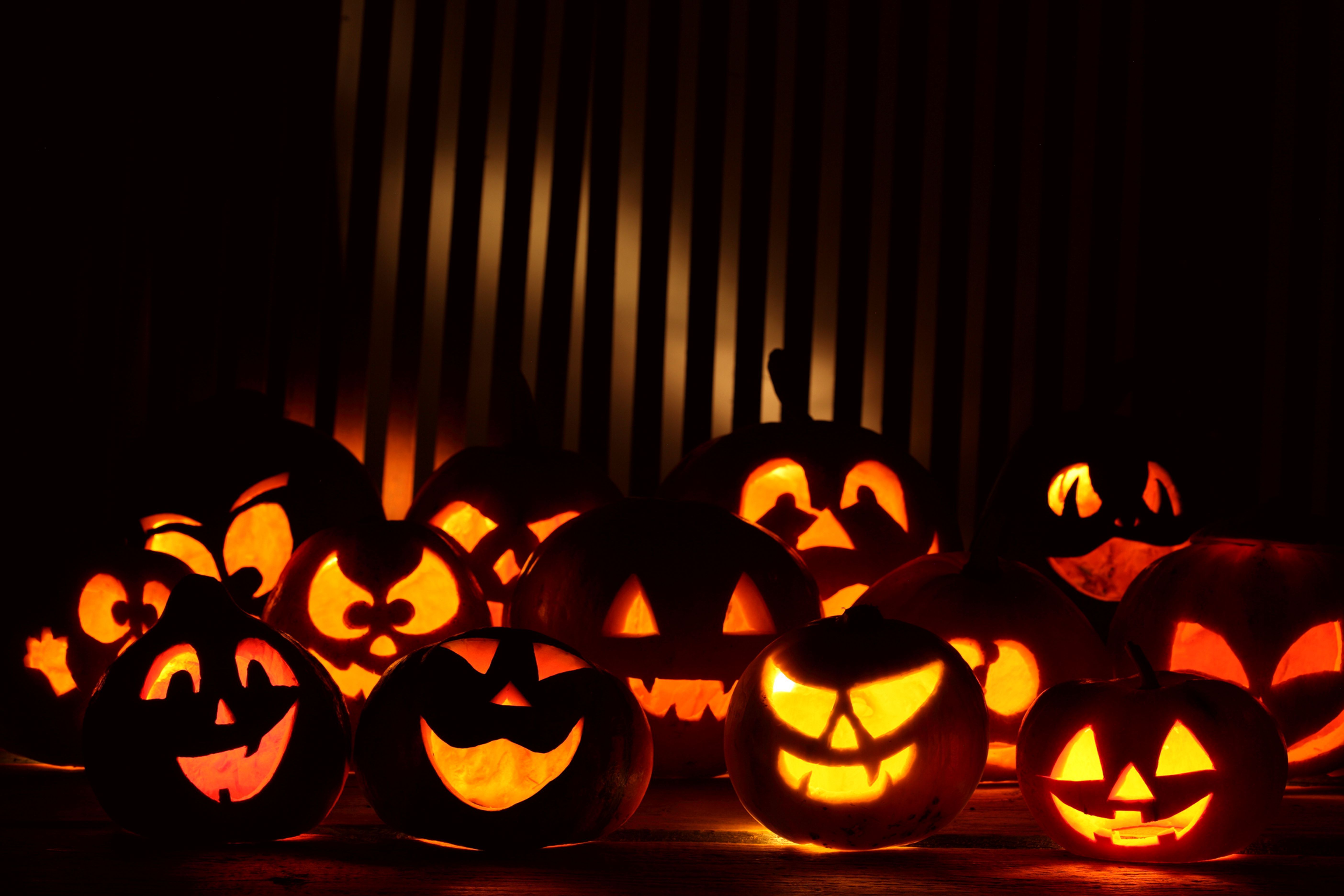 Hd Pumpkin Wallpaper