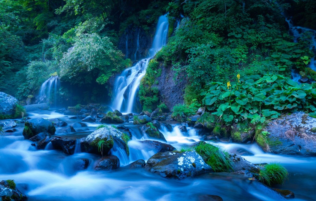 CASCADING FALLS, forest, nature, r, cascade, waterfalls, HD wallpaper |  Peakpx