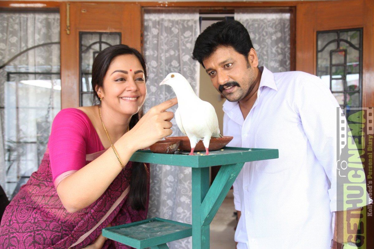 Actor Vidharth Wiki, Biography, Age, News, Gallery, Videos & more