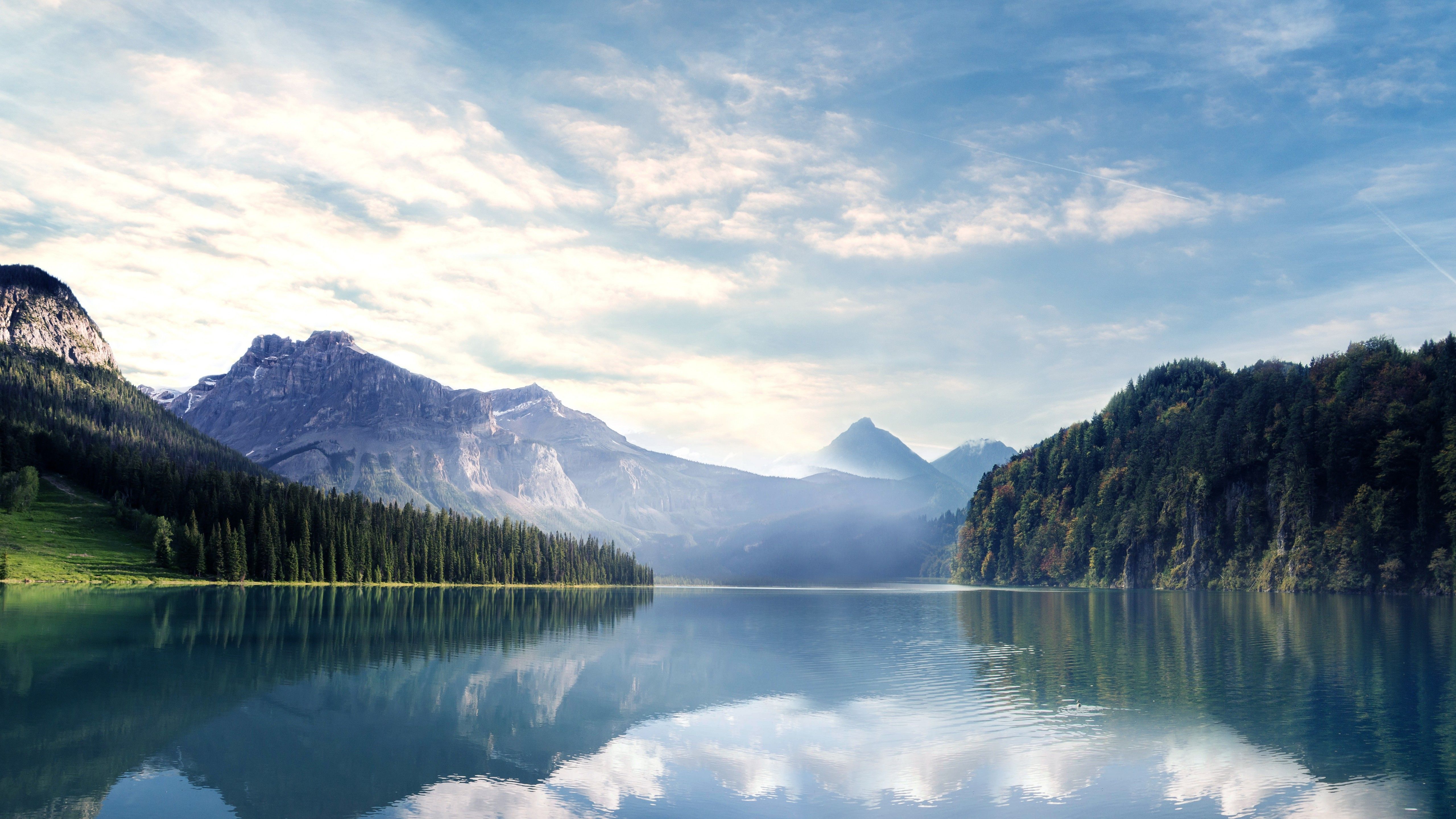 River 4K Wallpaper, Mountains, Forest, Sunny day, Landscape, 5K, 8K, Nature