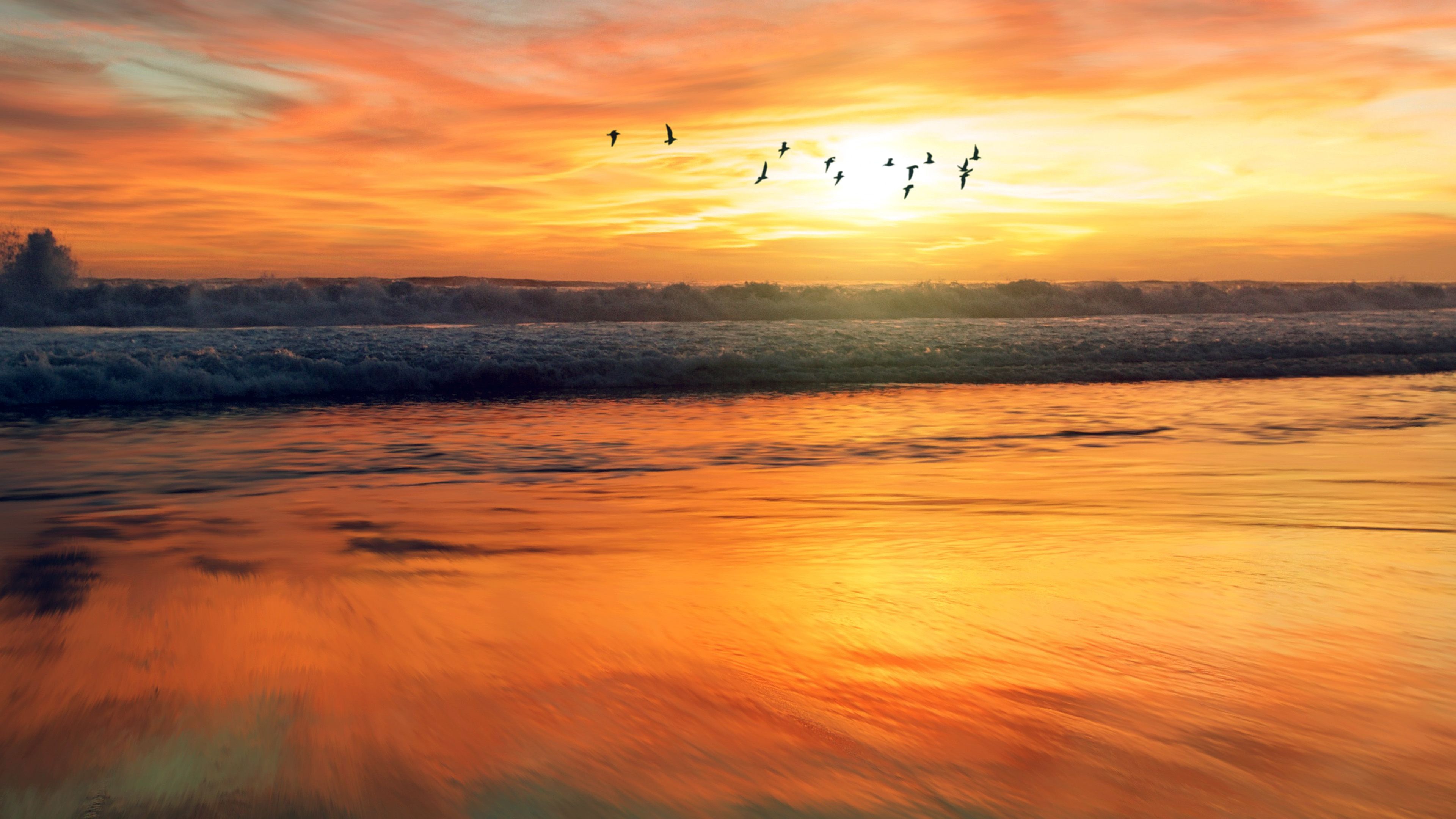 wallpaper for desktop, laptop. sunset sea nature orange summer sky bird animal