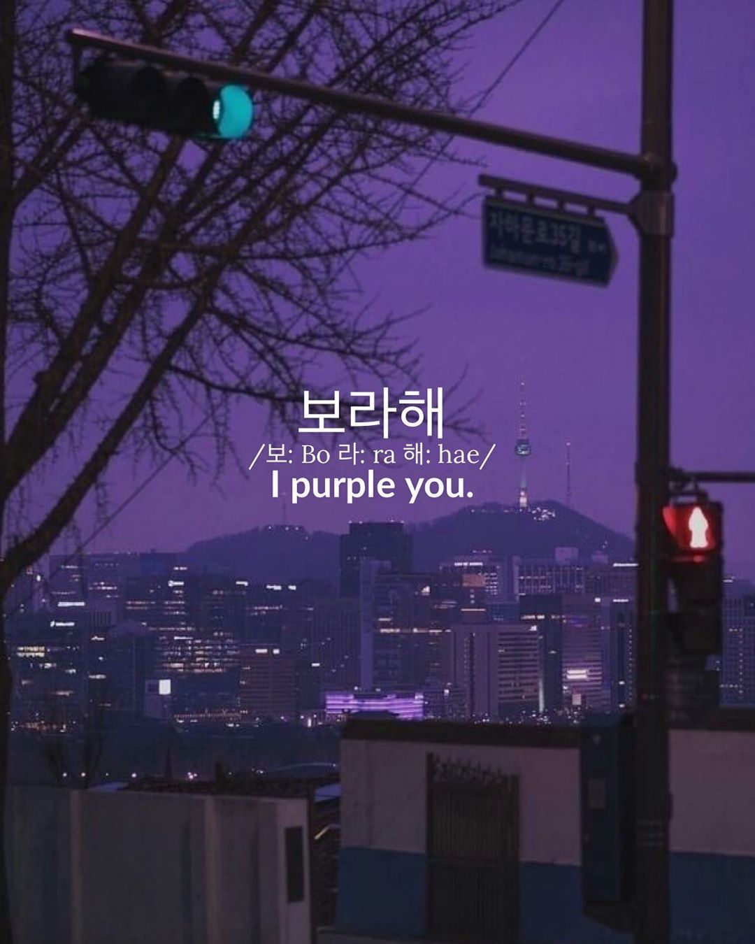 seoul.southkorea 'Borahae' 보라해 보: Bo 라: ra 해: hae Meaning: I purple you is not like saying I love you. But mor. Korean quotes, Song lyrics wallpaper, Korean words