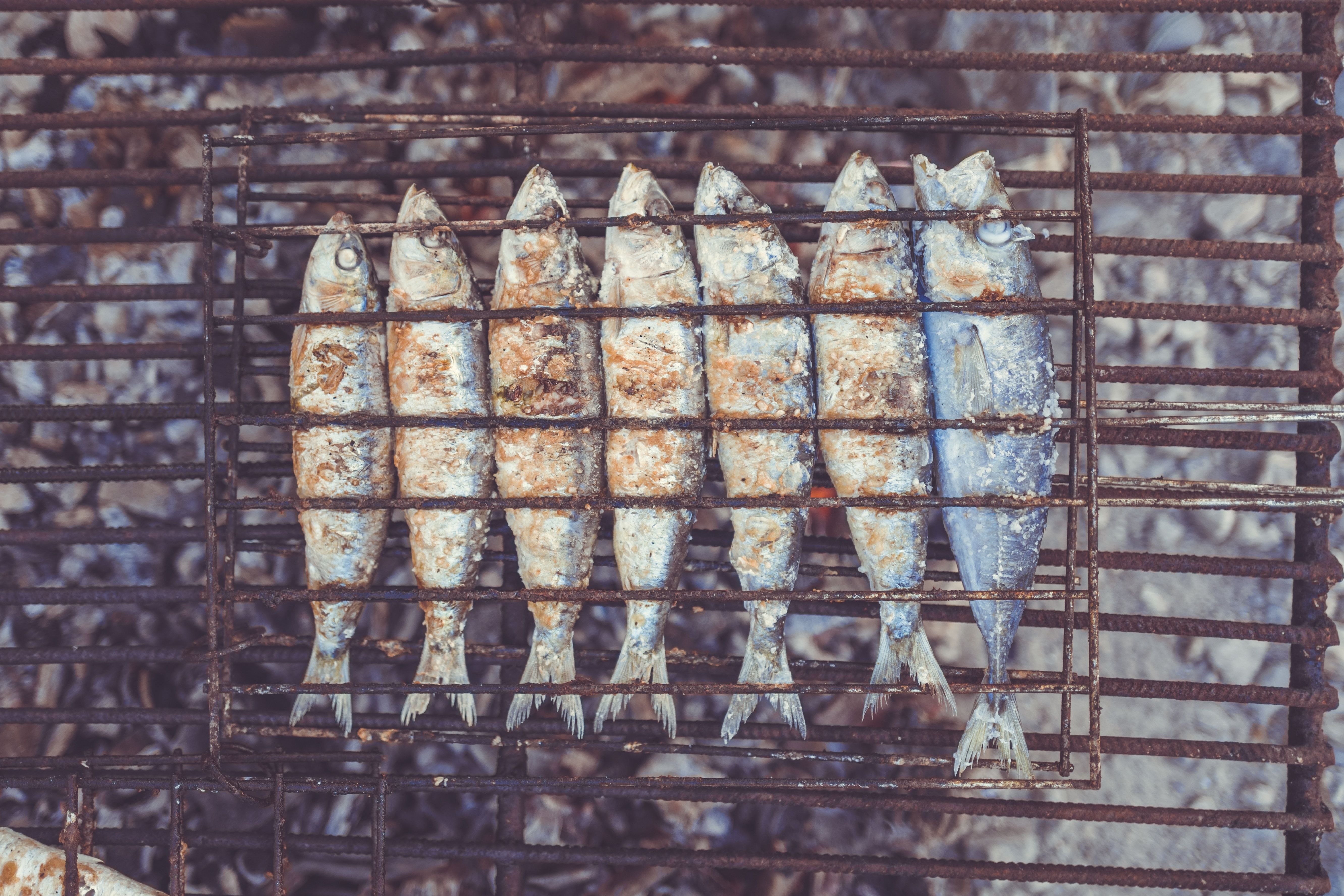 5326x3551 #cook, #outdoor, #sardine, #Free , #line, #cooking, #bbq, #ocean, #weekend, #food, #barbeque, #heat, #hot, #camping, # grill, #sea, #fish, #grilled fish. Mocah HD Wallpaper