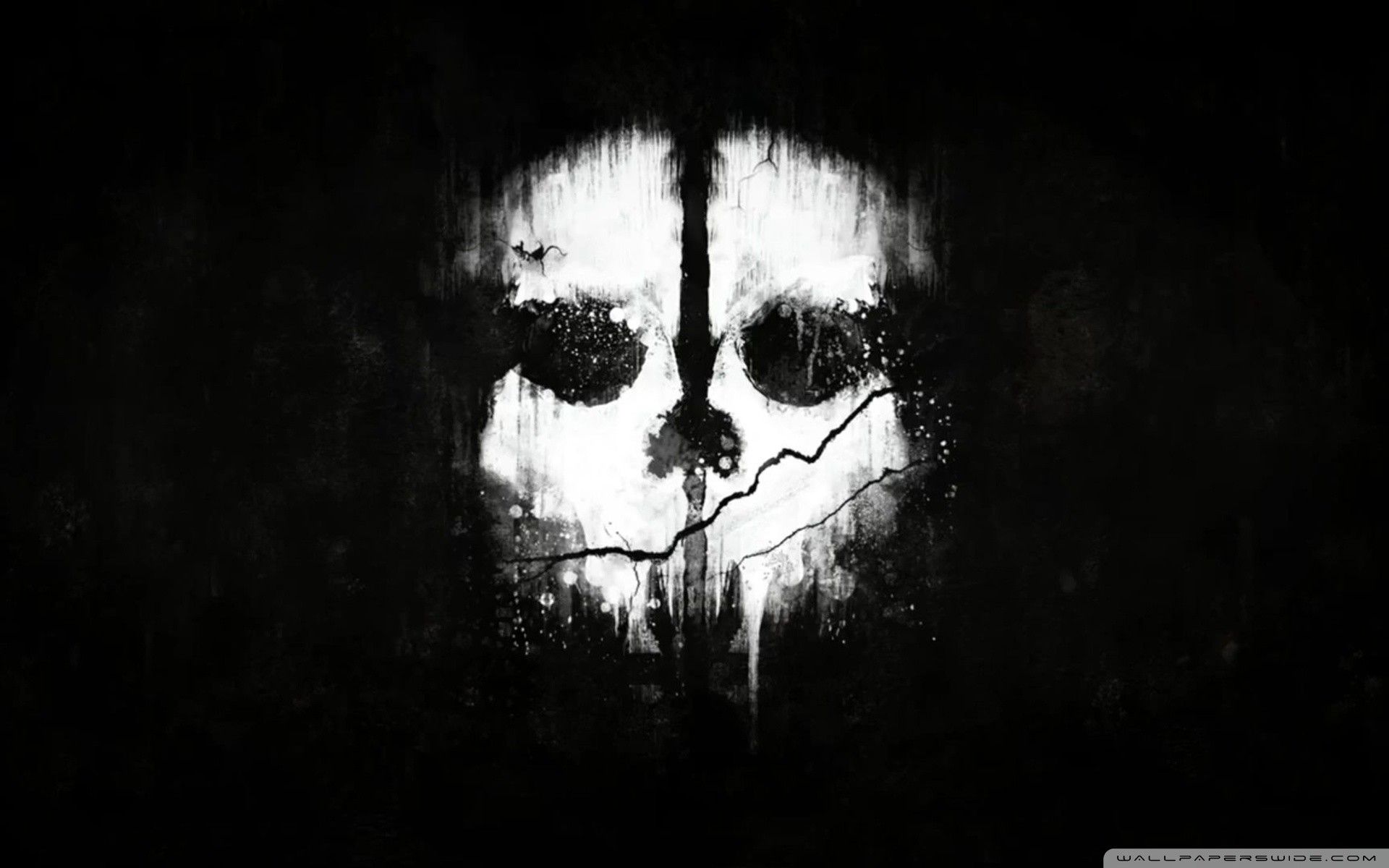 This skull image from Call of Duty Ghosts is actually a reference to the main villain's time spent in the jungle. Roarke was said to have been kept in a hole as