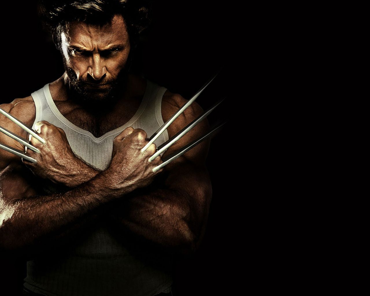 Desktop Wallpaper Hugh Jackman, X Men: Origins Wolverine Movie, HD Image, Picture, Background, Hrnimx