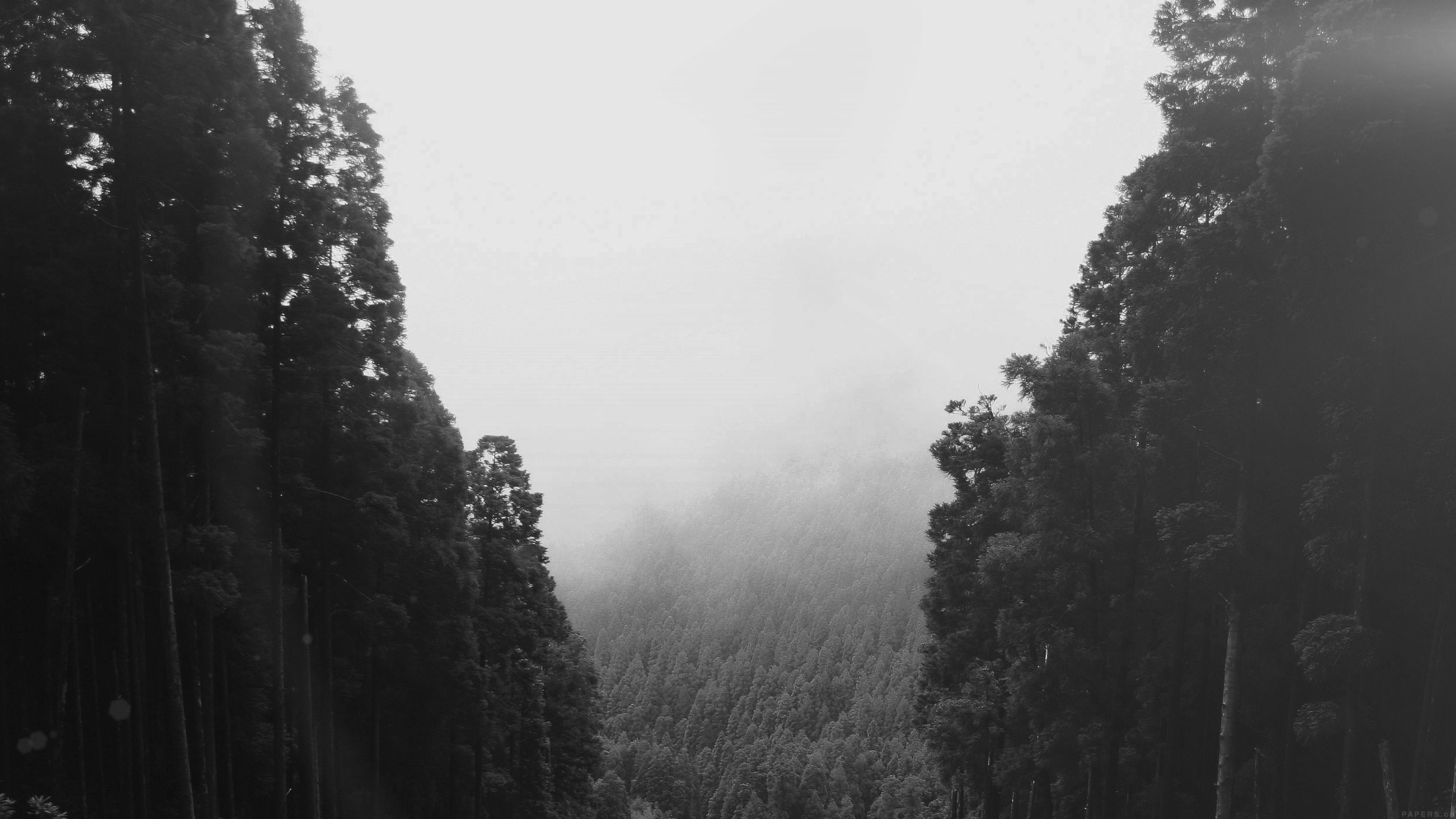 Mountain Mirror Green Wood Nature Dark Wallpaper