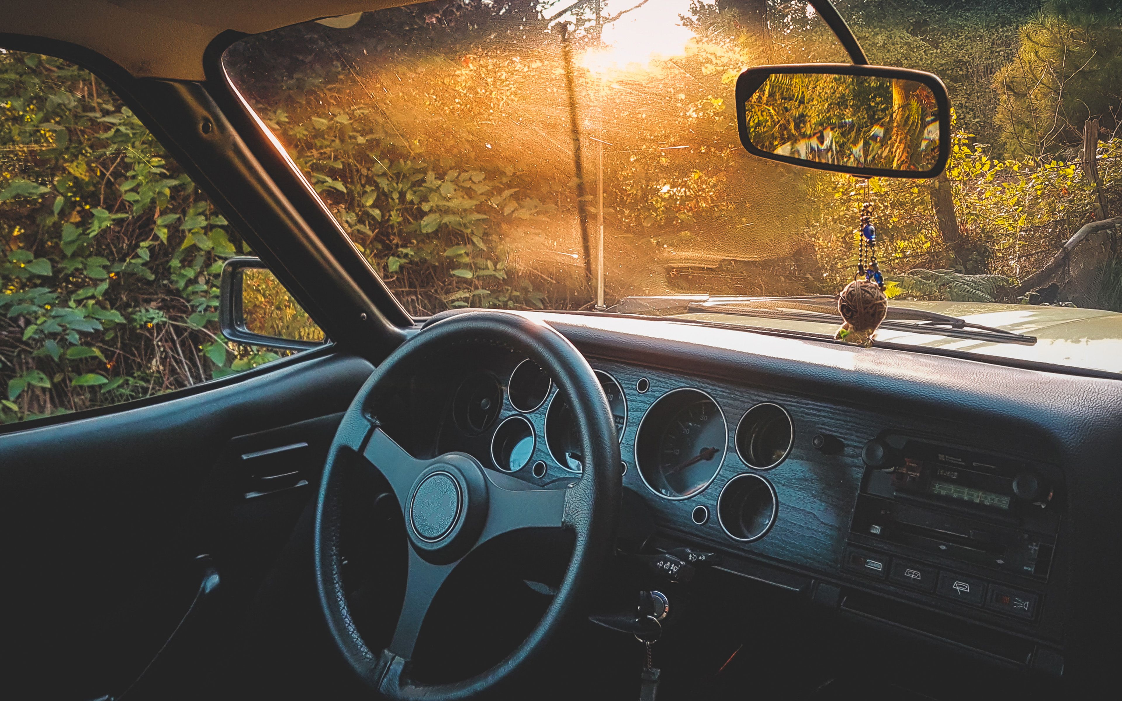 Car Drive Forest Light Nature