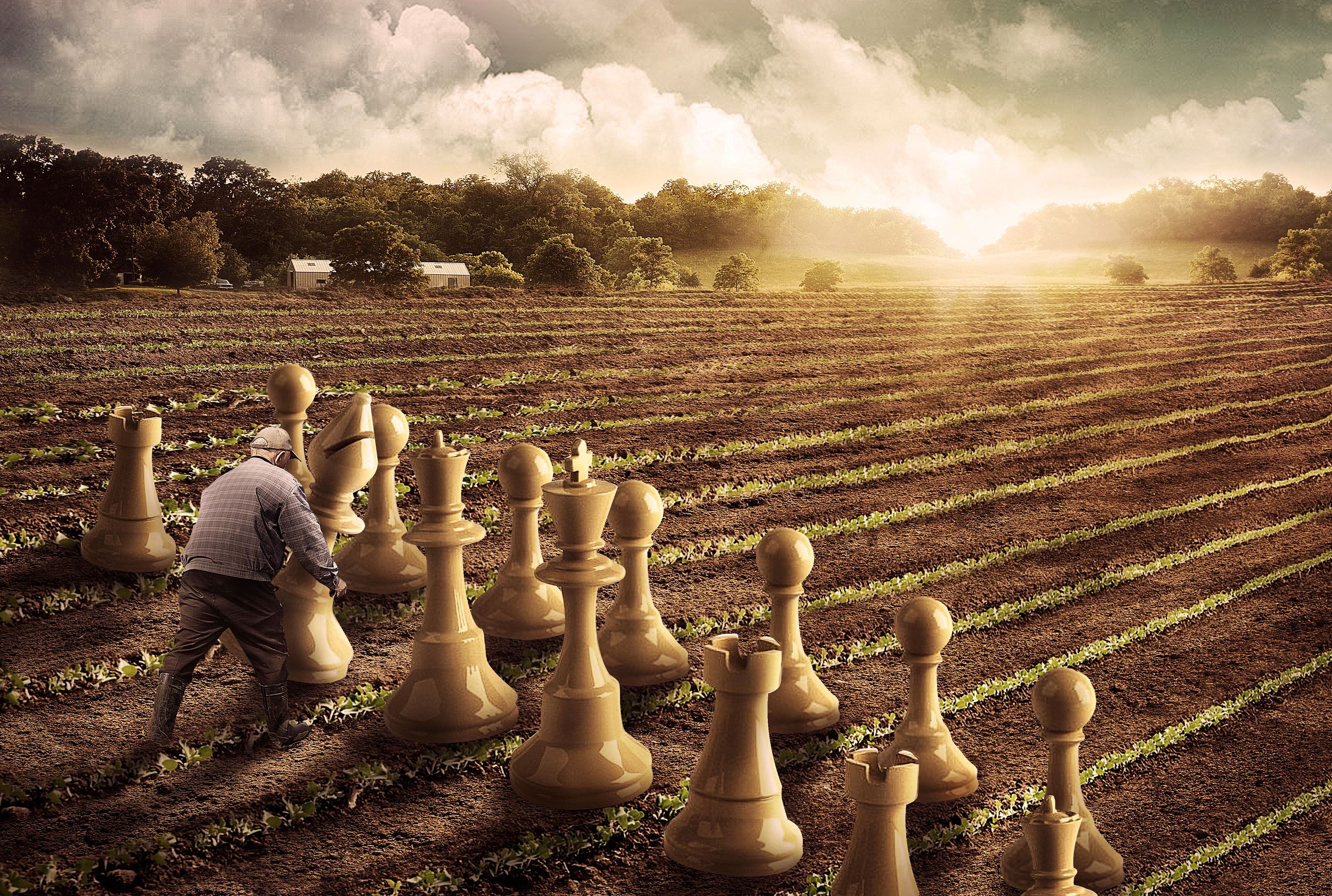 #Chess pieces, K, #Farming. Mocah HD Wallpaper
