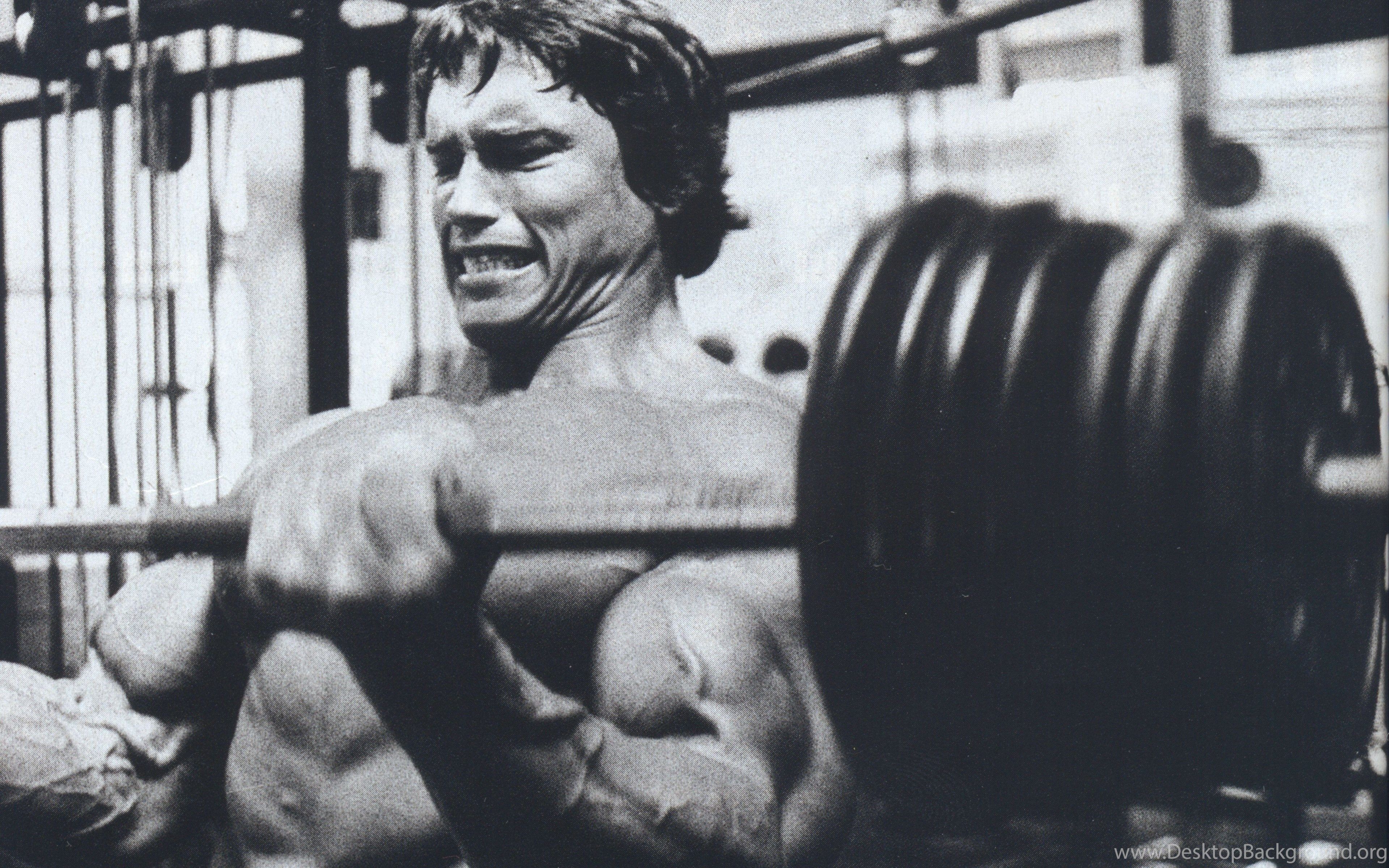 Arnold Schwarzenegger, Muscles, Training wallpaper Desktop Background