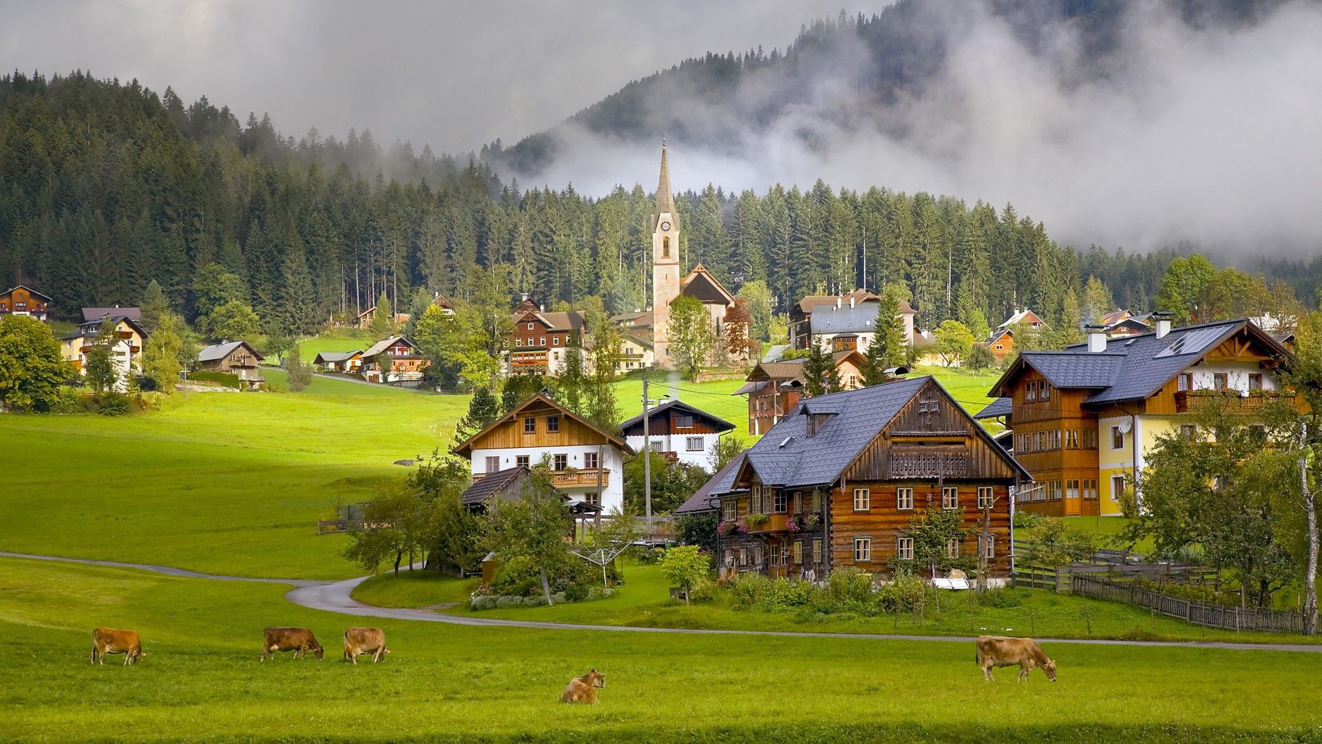 #wood, #trees, #mist, #building, #forest, #town, #road, #villages, # house, #animals, #grass, #Austria, #cow, #architecture, #church, #nature, wallpaper. Mocah HD Wallpaper